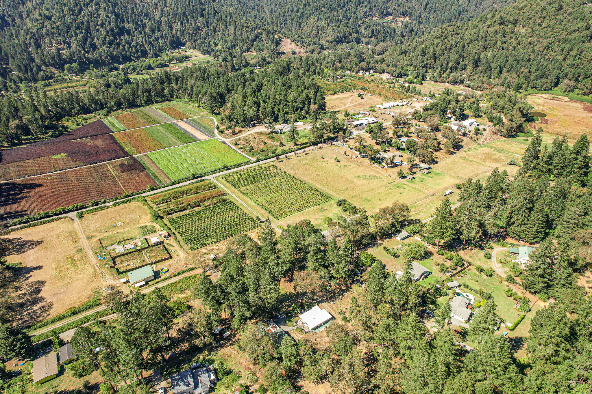 284 Horse Linto Creek Road