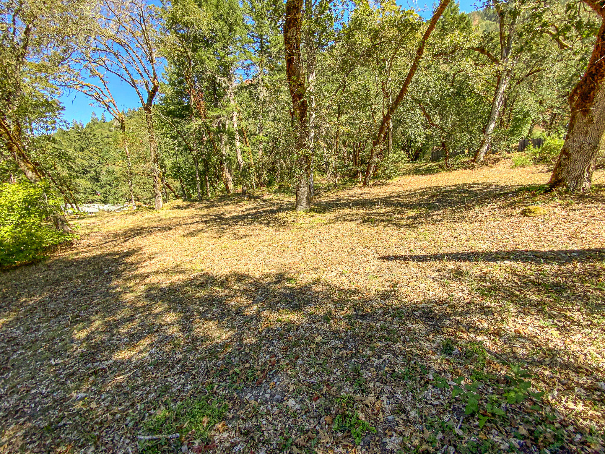 284 Horse Linto Creek Road