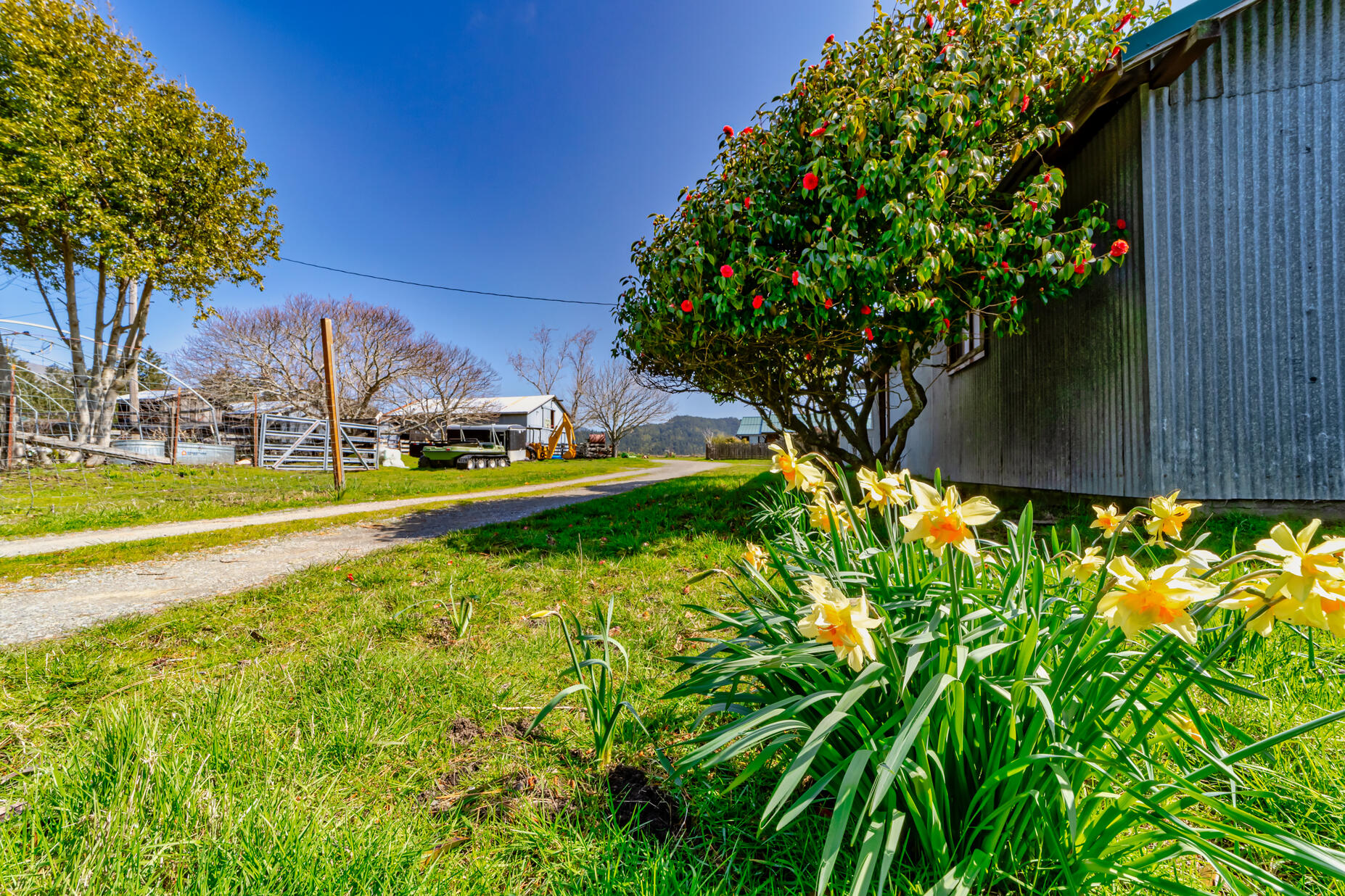 27265 Mattole Road