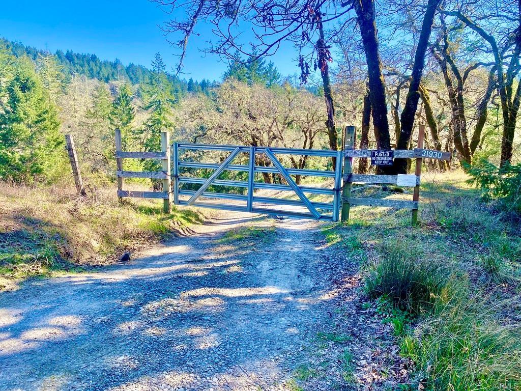32010 Highway 36