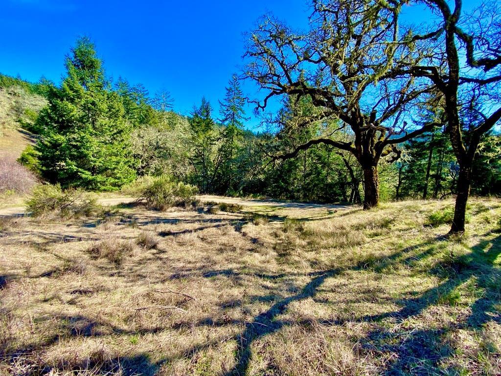 32010 Highway 36