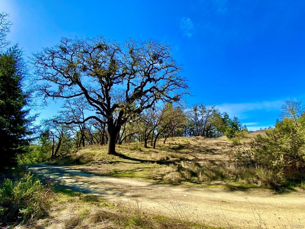 32010 Highway 36