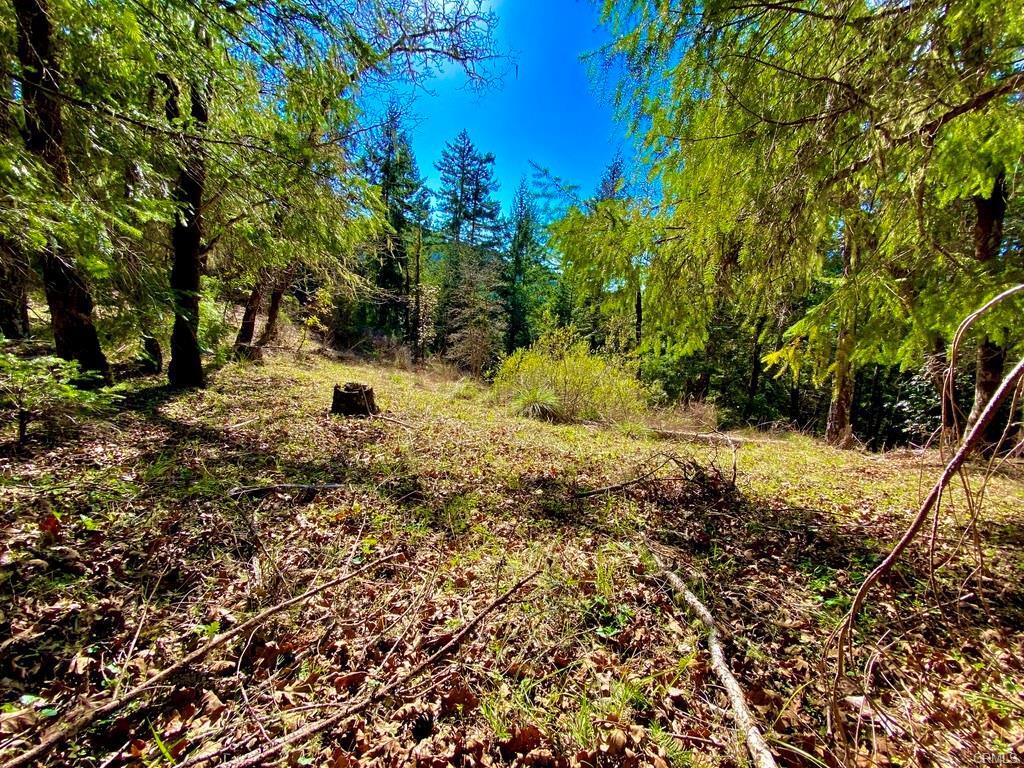 32010 Highway 36