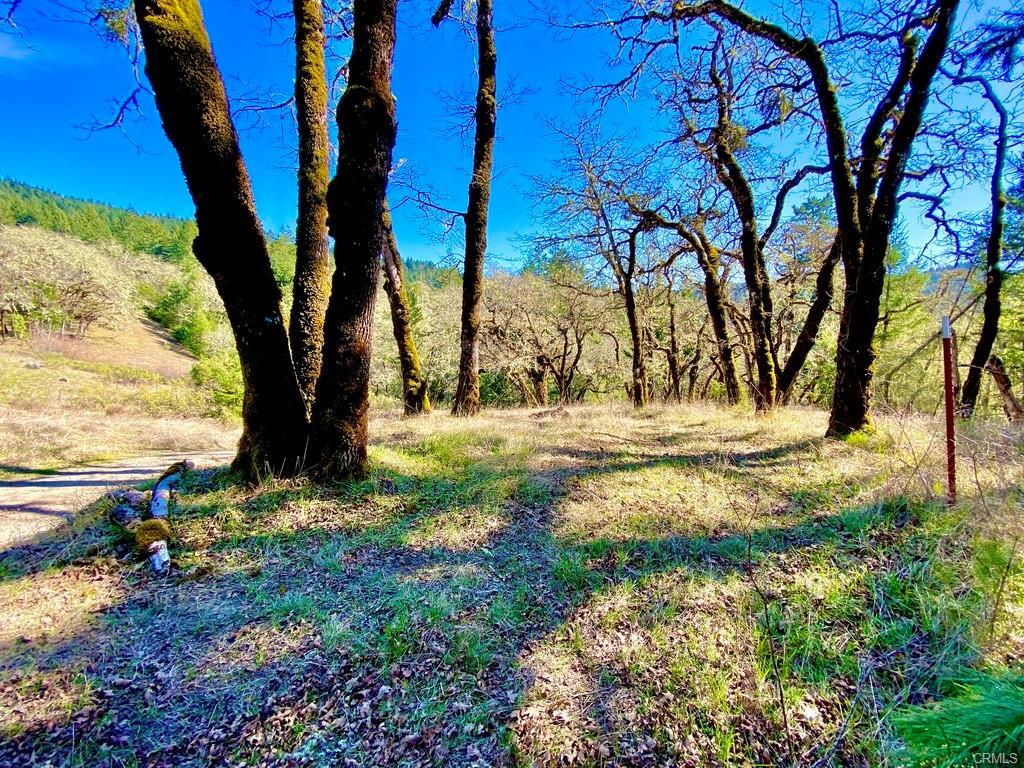 32010 Highway 36