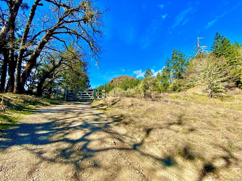 32010 Highway 36