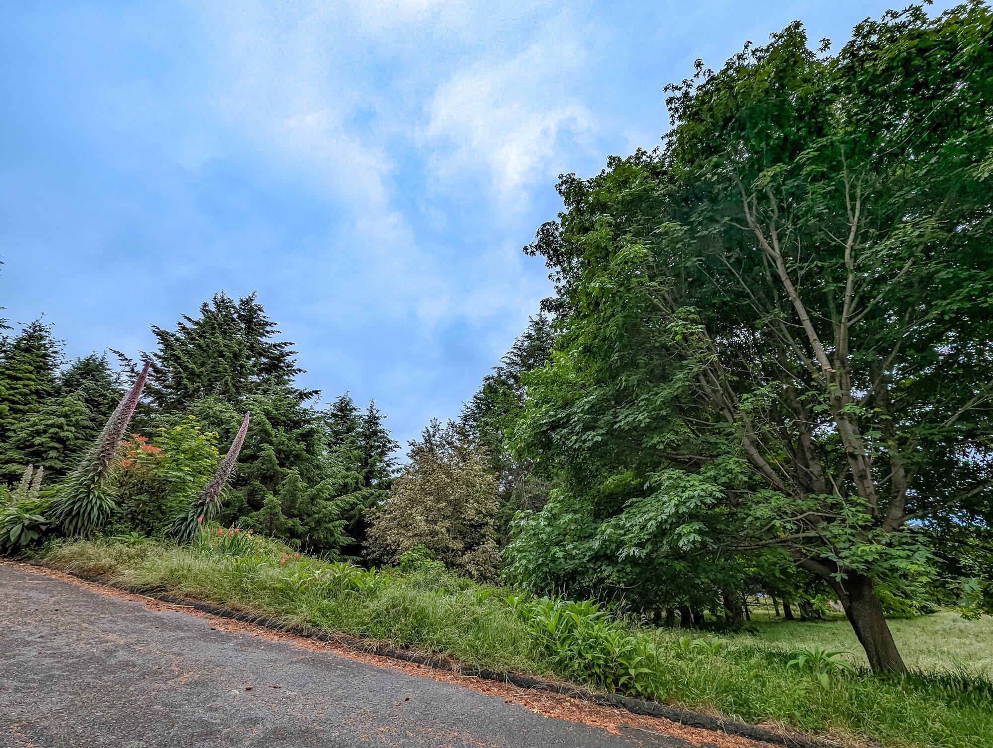 130 Eileen Road