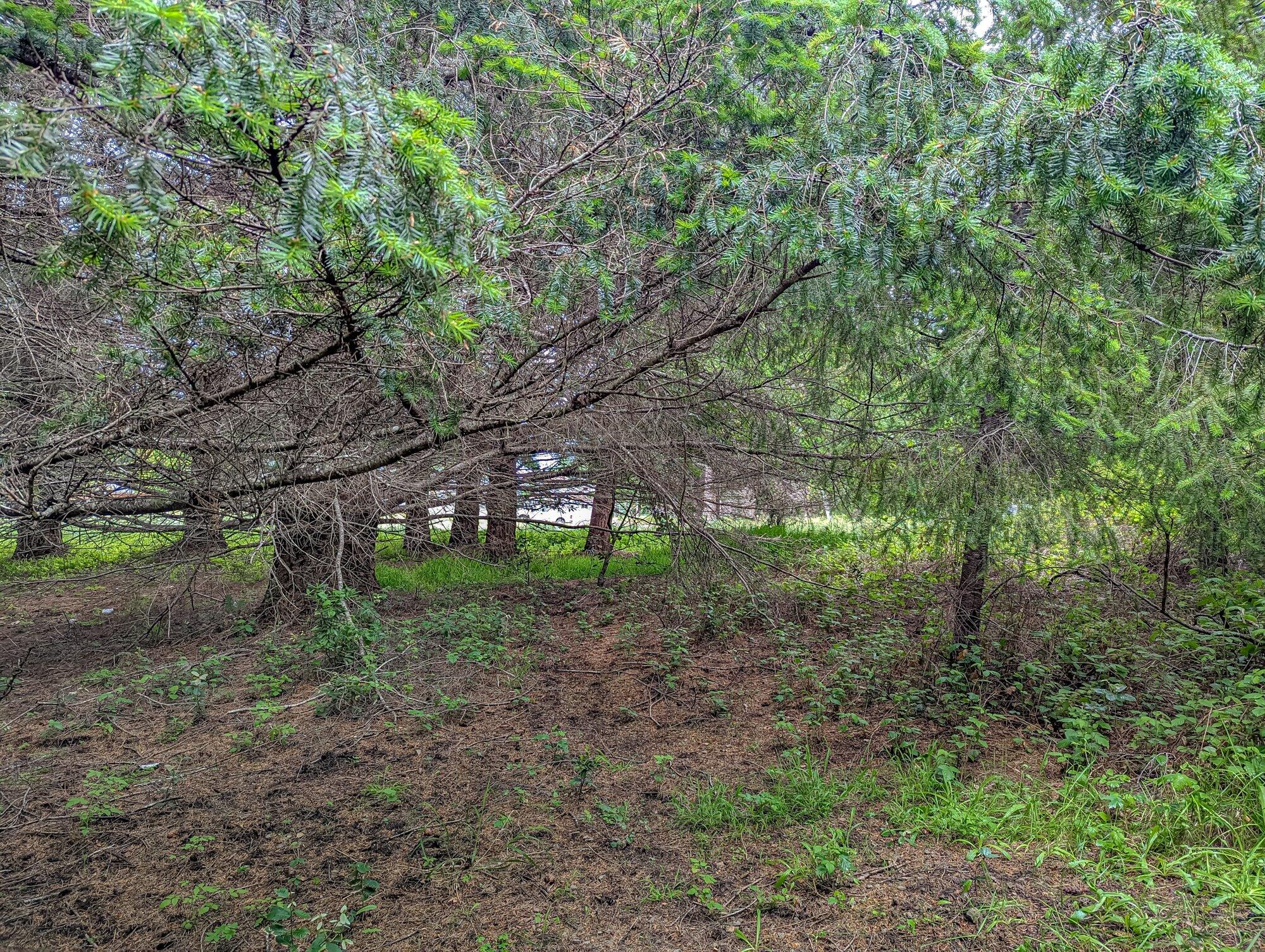 130 Eileen Road
