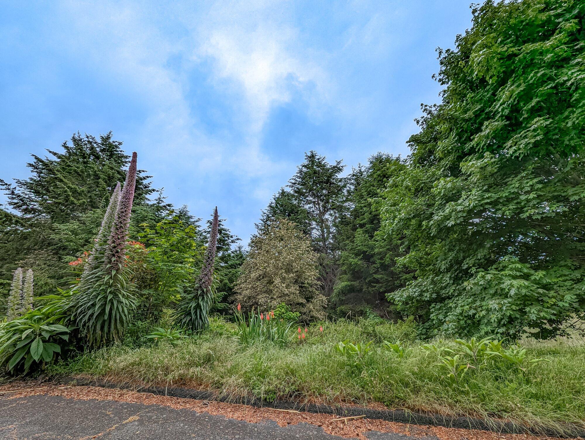 130 Eileen Road