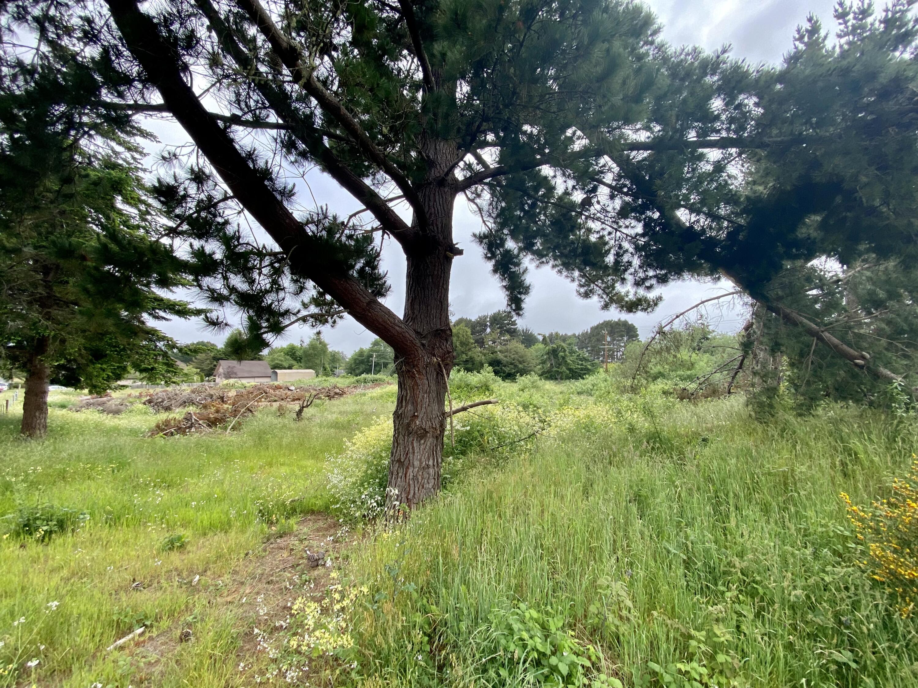 3198 Eagle Lane, McKinleyville