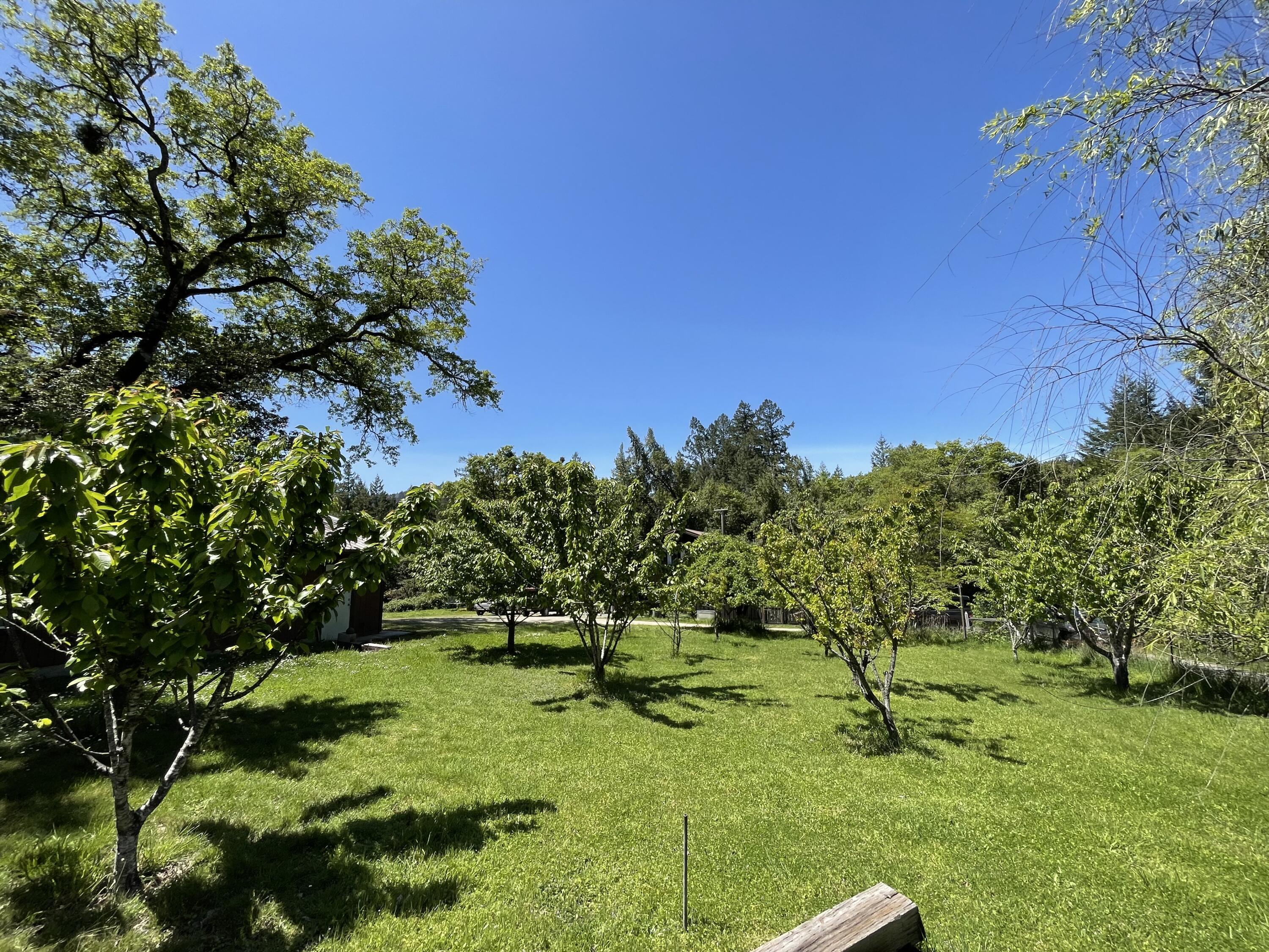 435 Cathey Ranch Road