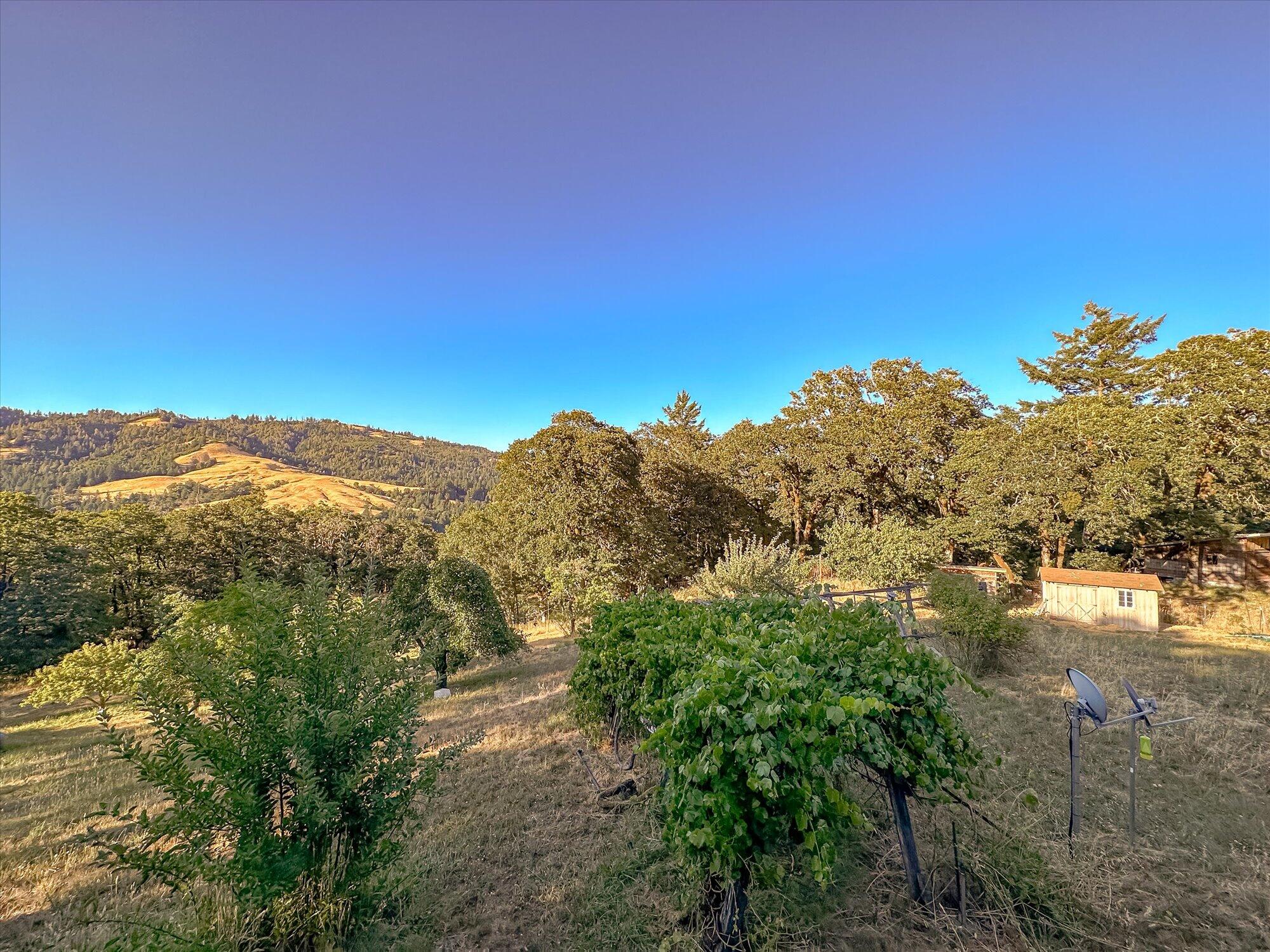 3830 Thomas Road