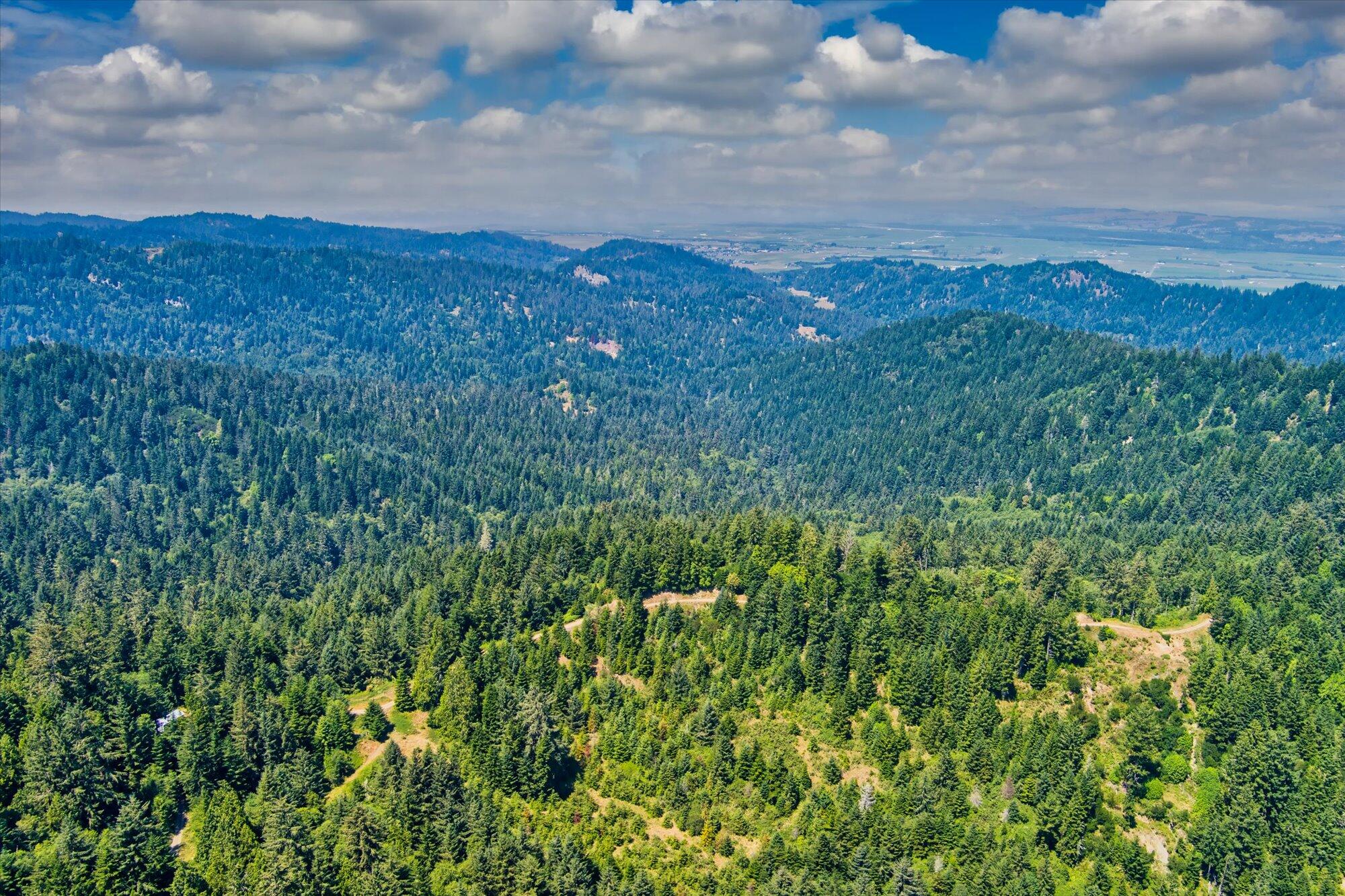 +400 Acres Crosby Road