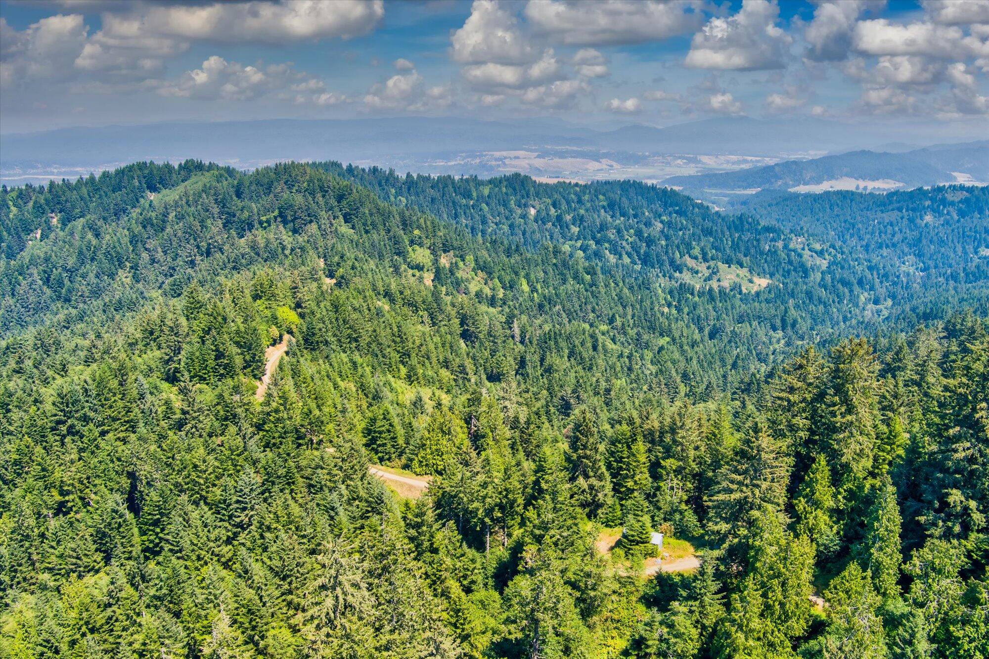 +400 Acres Crosby Road