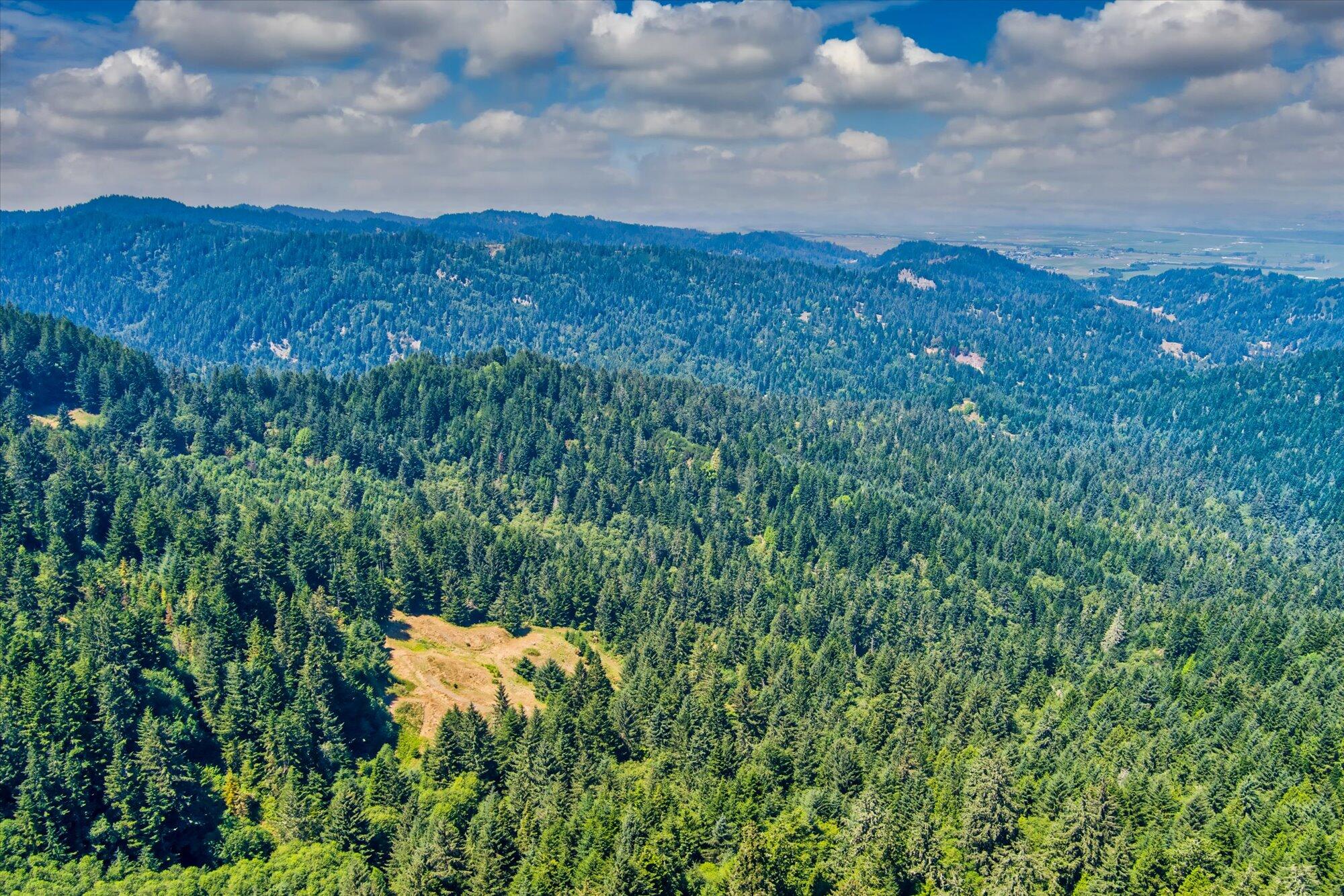 +400 Acres Crosby Road