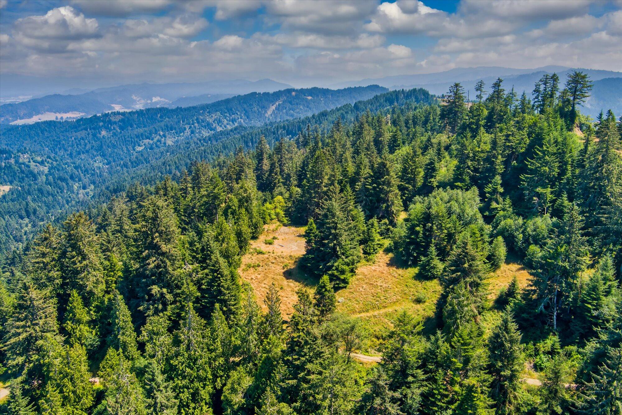 +400 Acres Crosby Road