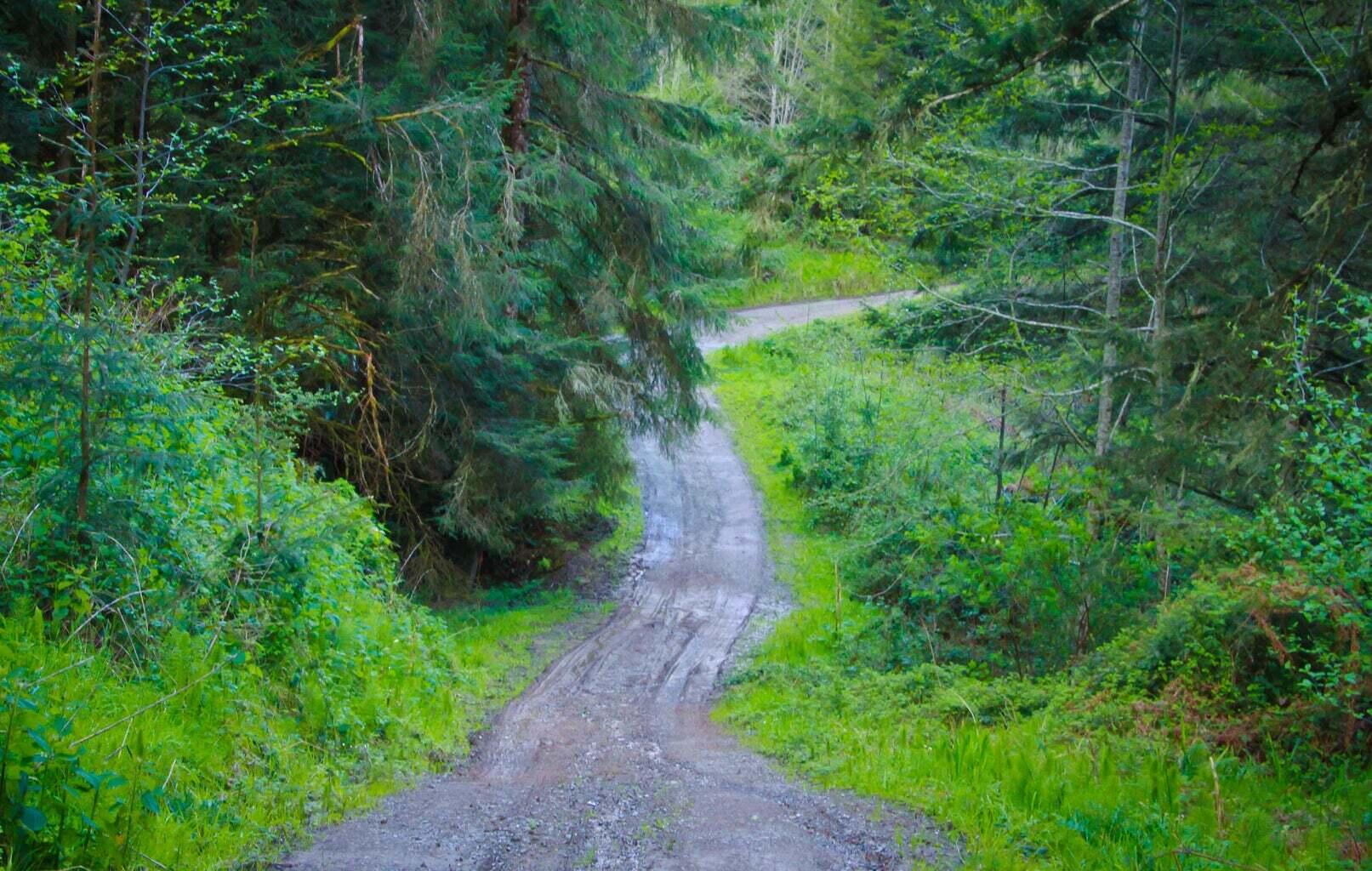 +400 Acres Crosby Road