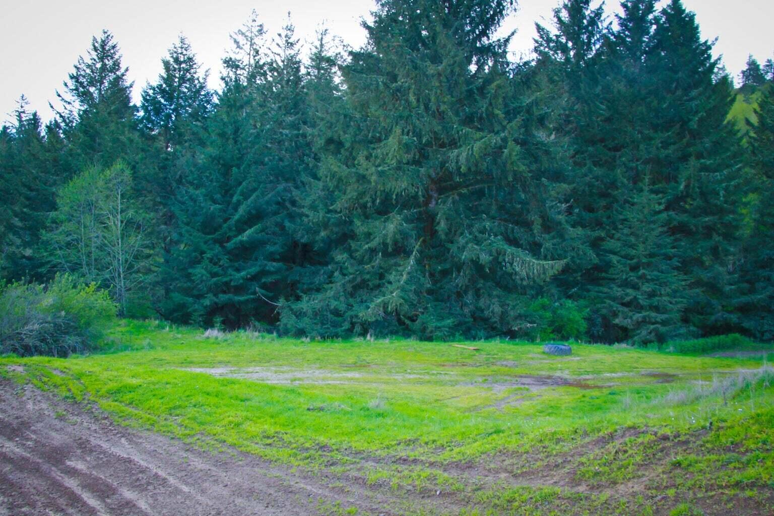 +400 Acres Crosby Road