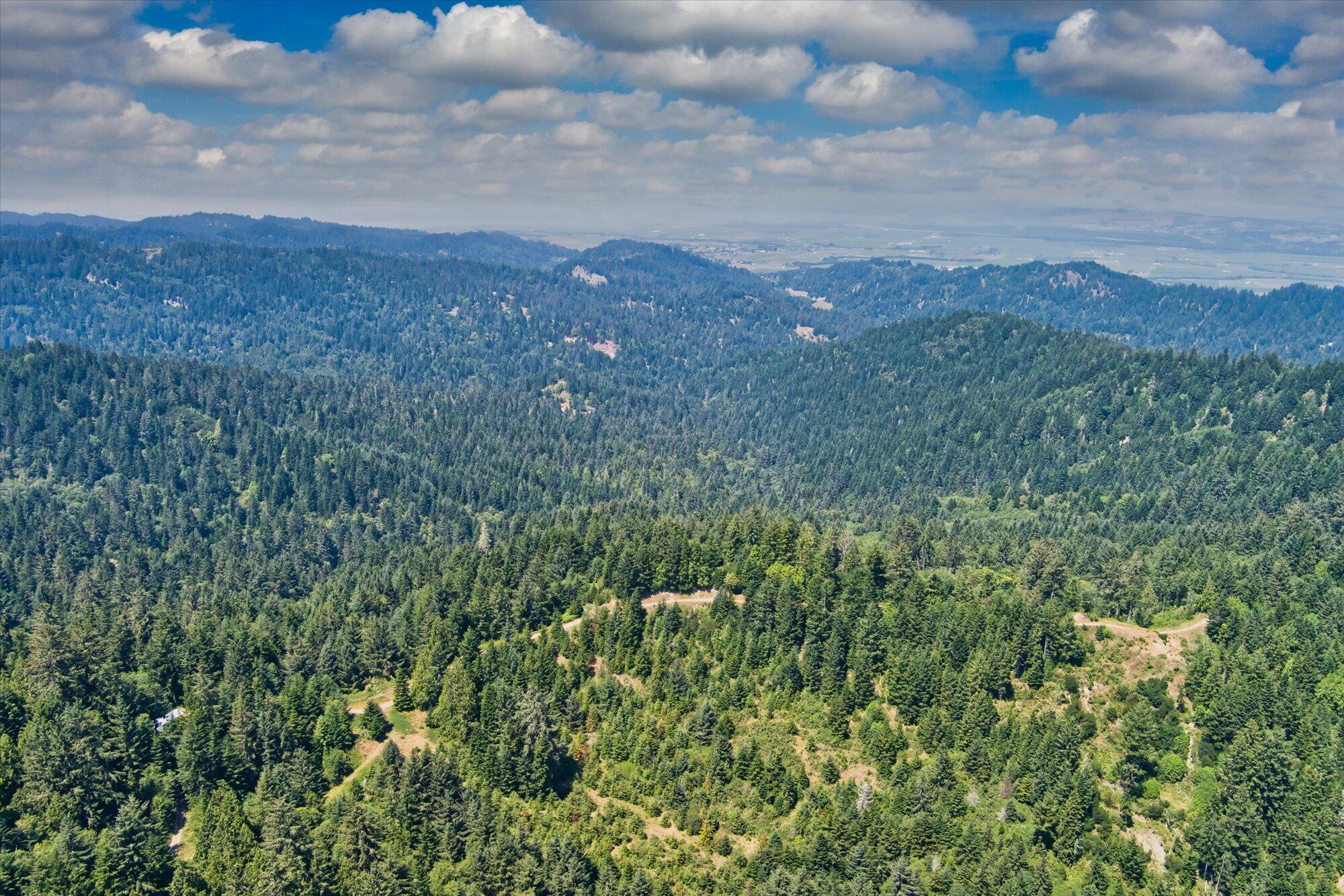 +400 Acres Crosby Road
