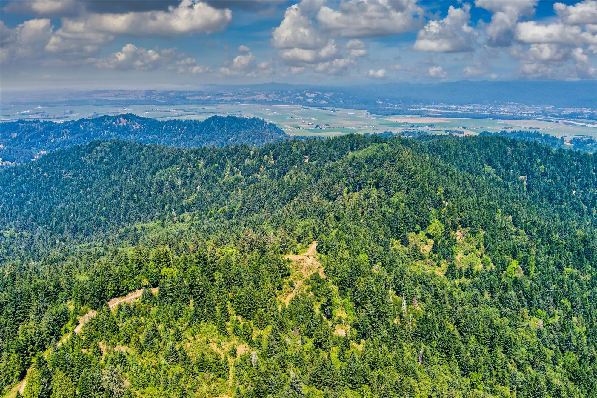 +400 Acres Crosby Road