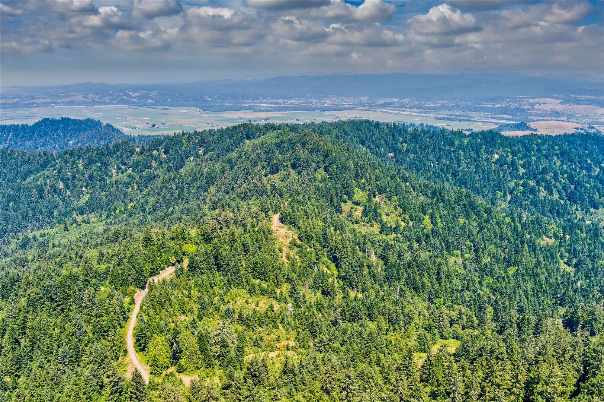 +400 Acres Crosby Road