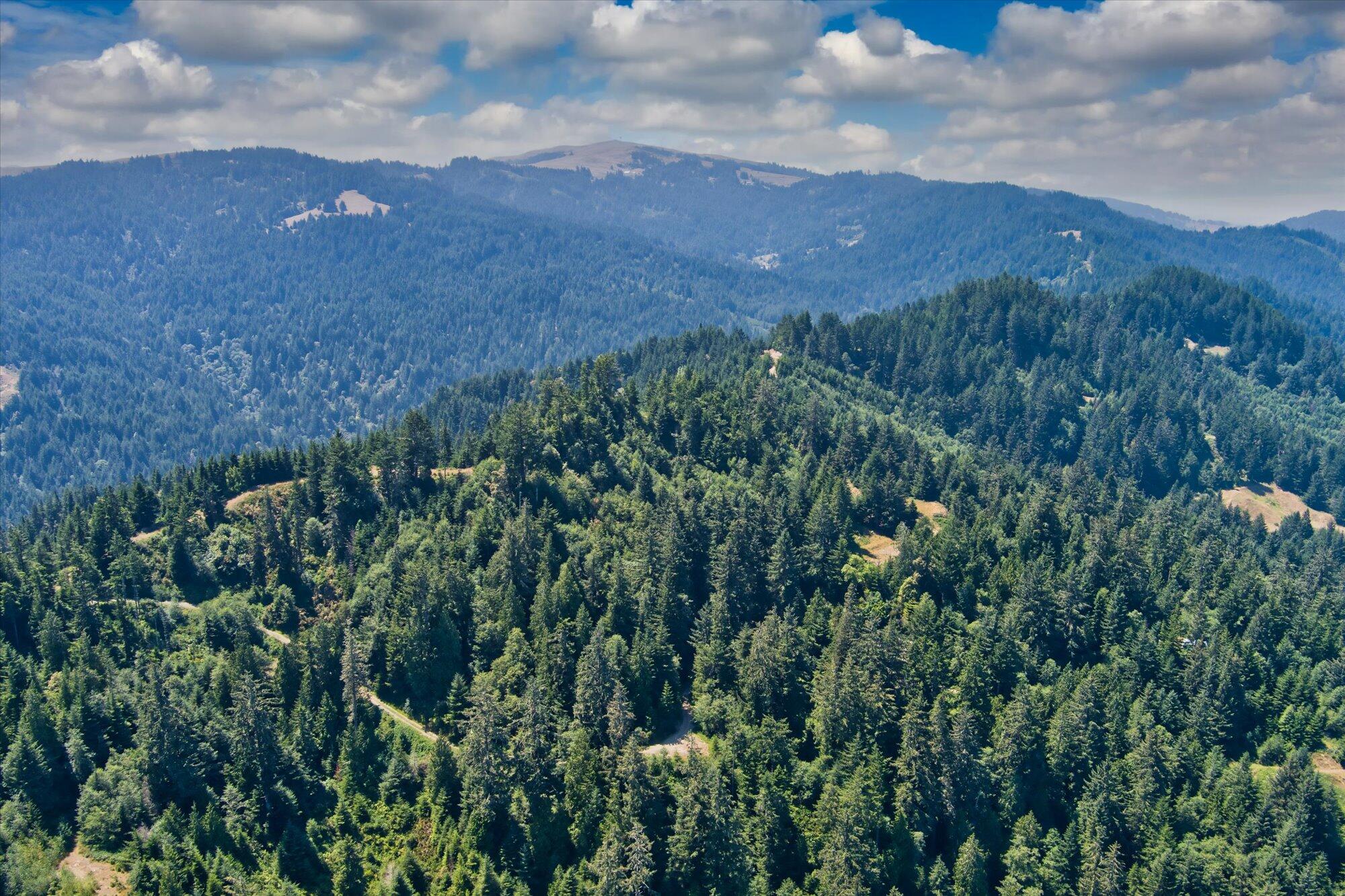 +400 Acres Crosby Road