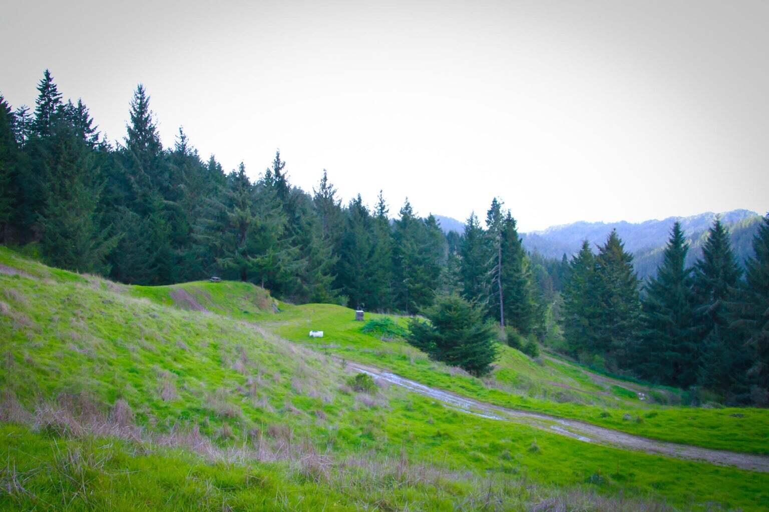 +400 Acres Crosby Road