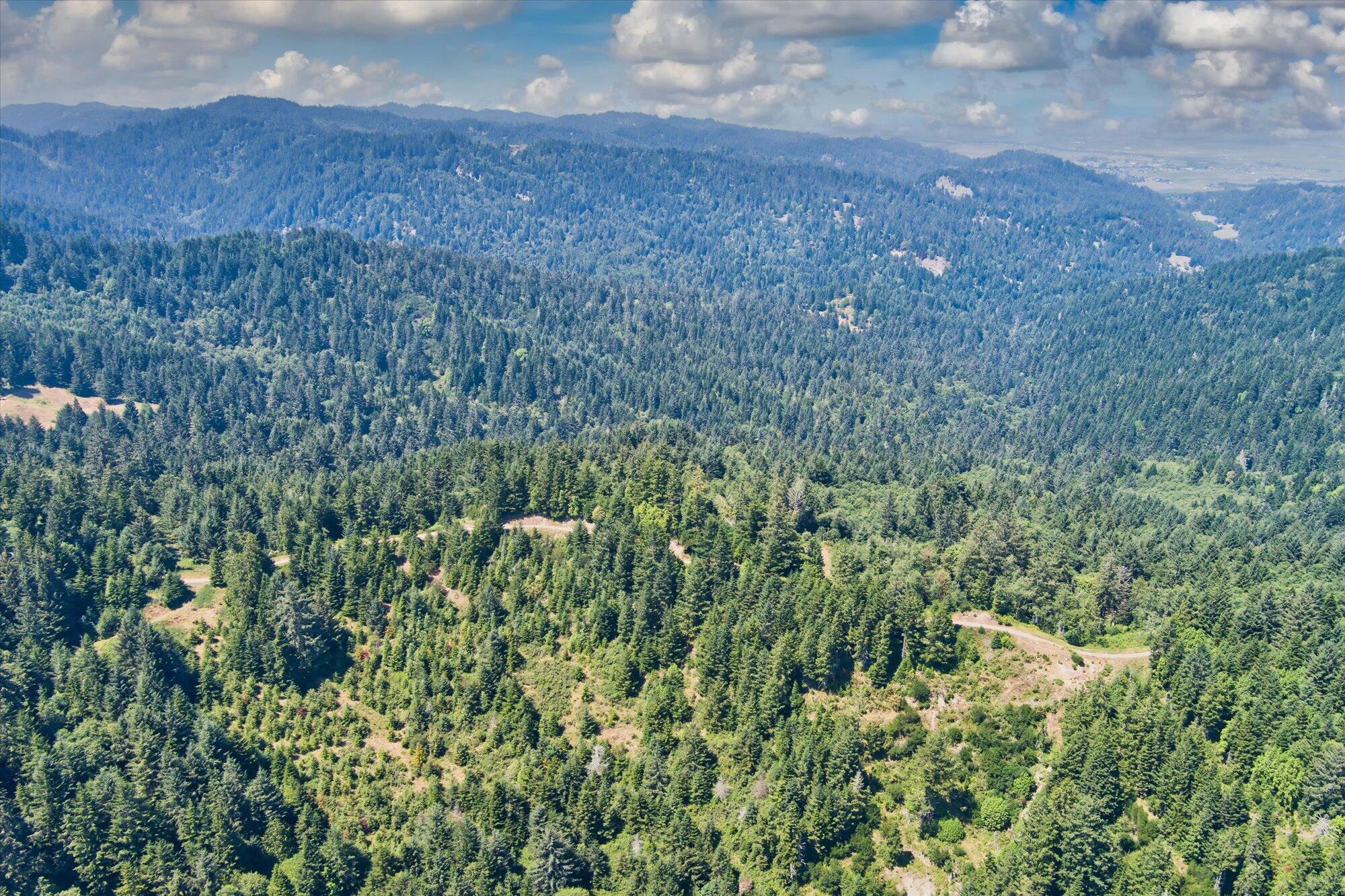 +400 Acres Crosby Road