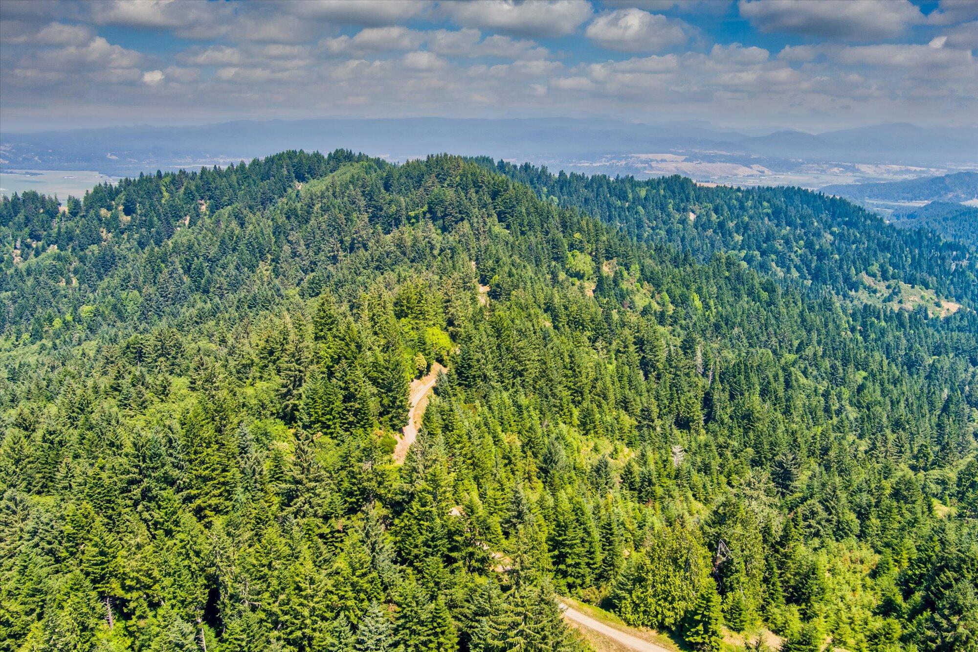 +400 Acres Crosby Road