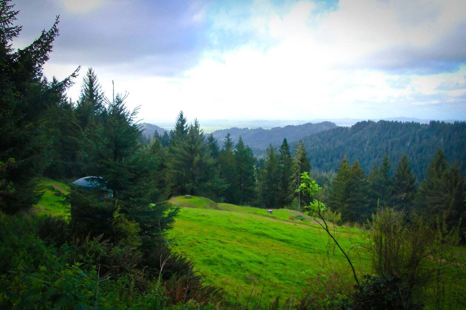 +400 Acres Crosby Road
