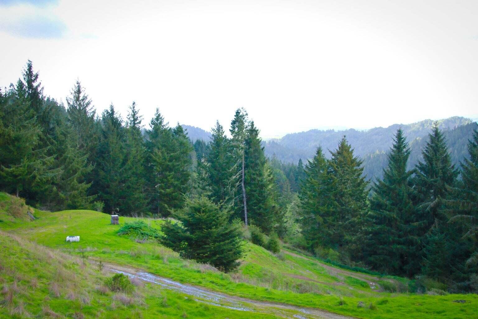 +400 Acres Crosby Road
