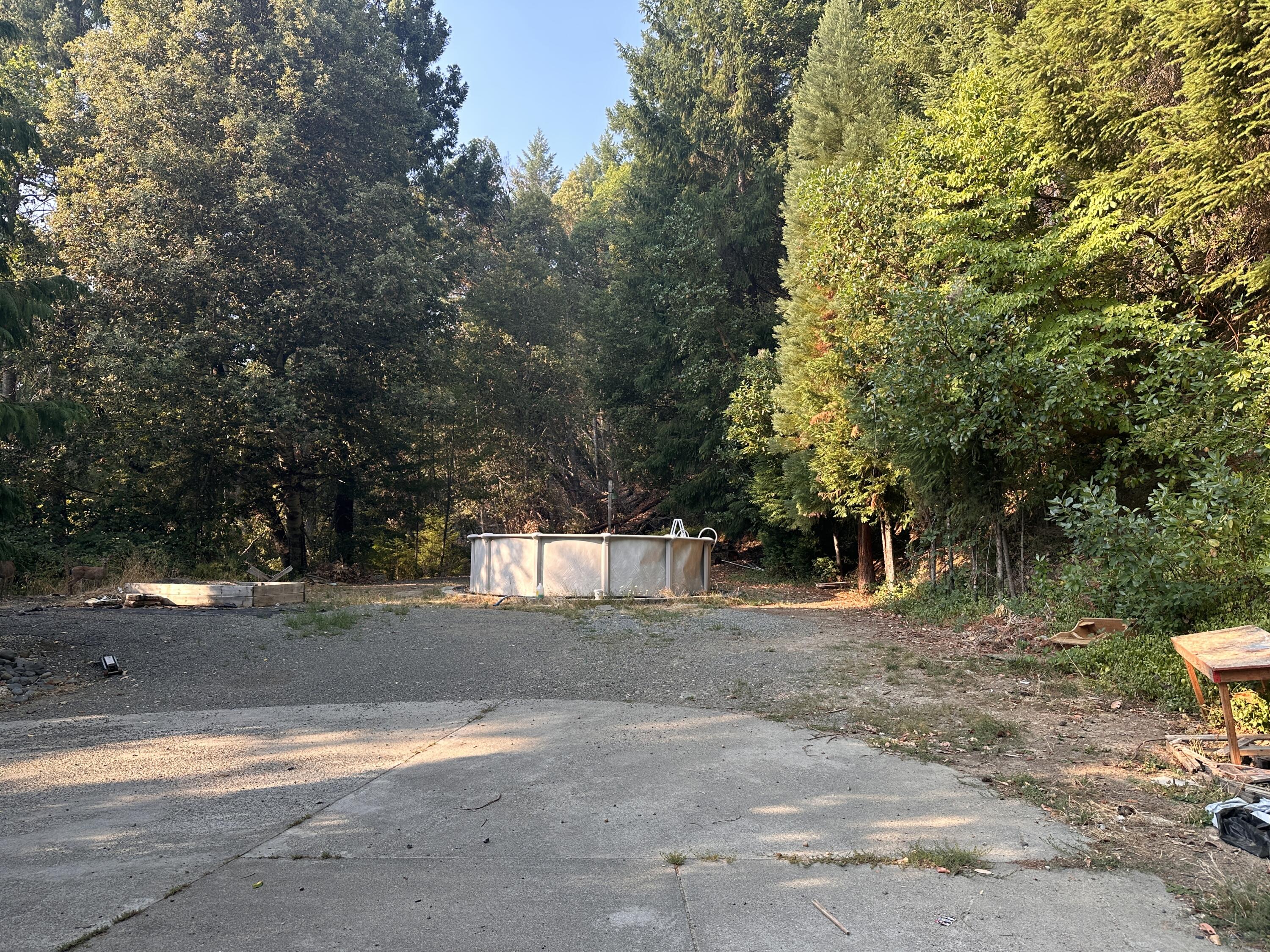 925 Forest View Drive
