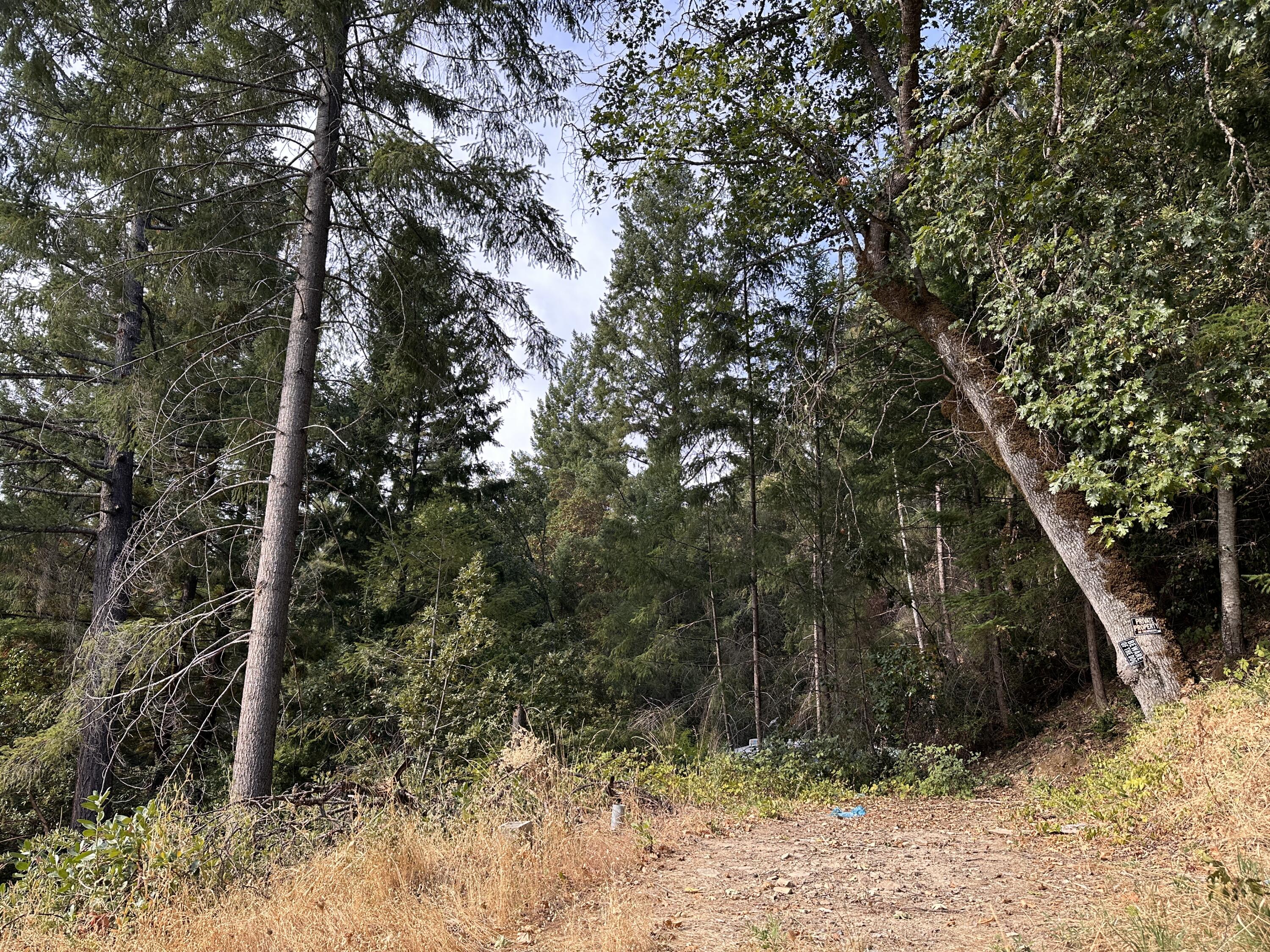 925 Forest View Drive