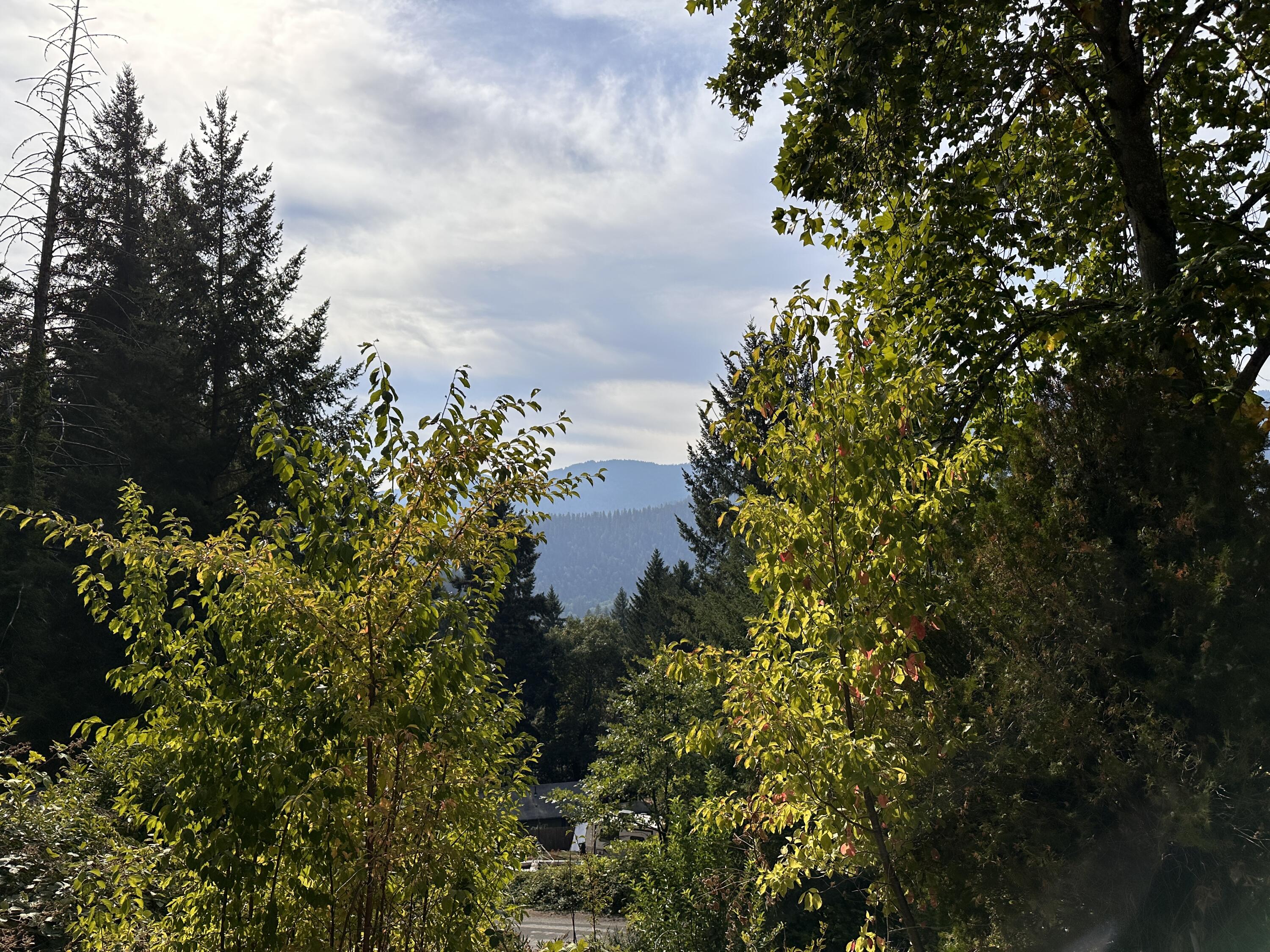 925 Forest View Drive