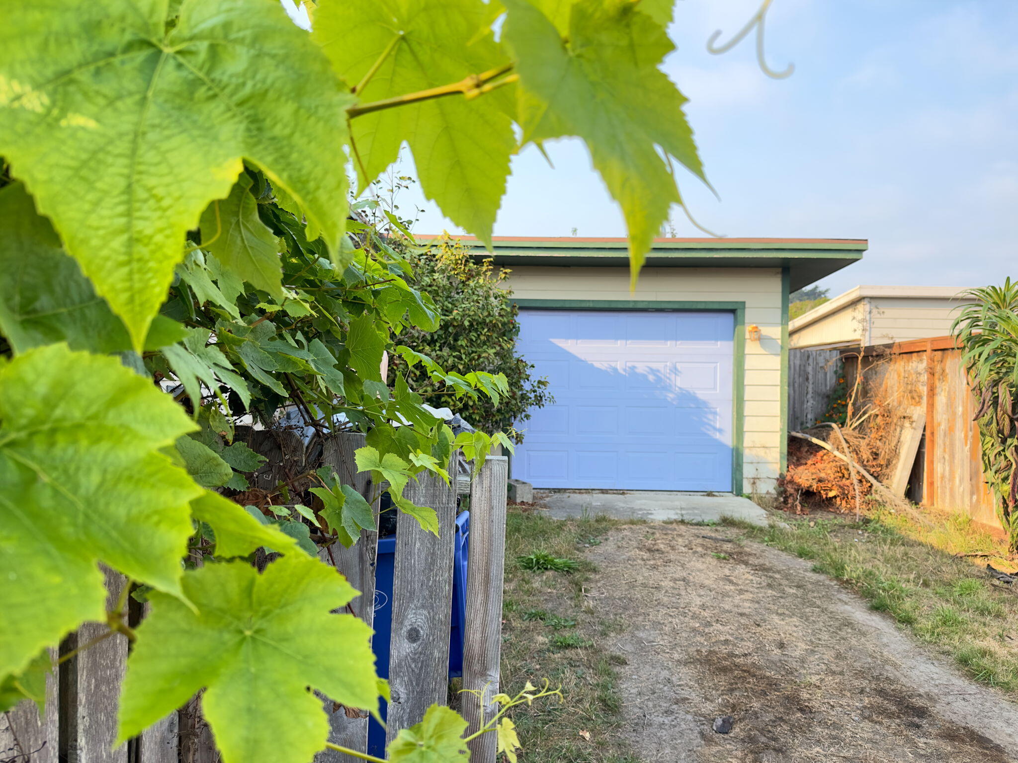 753 Wolf Road, McKinleyville