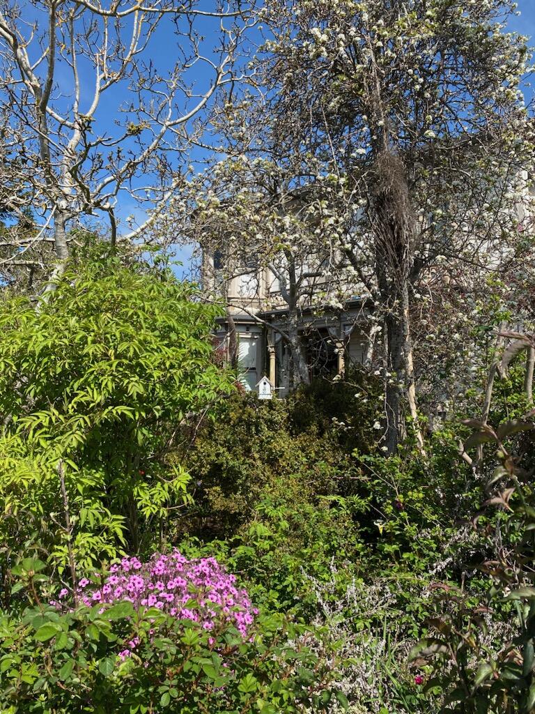 820 9th Street