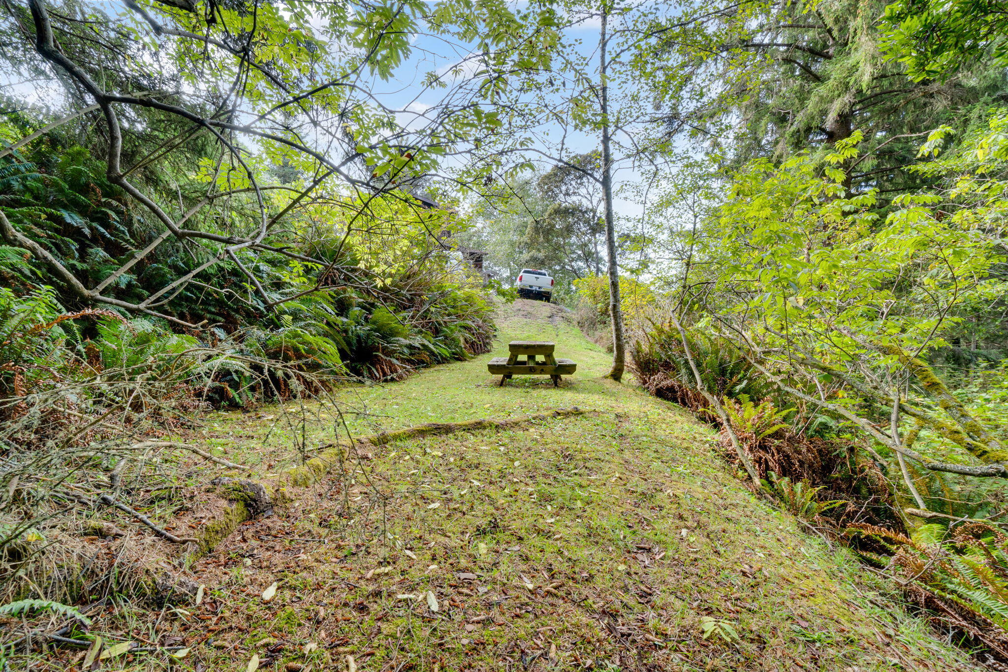 2557 Skyline Drive