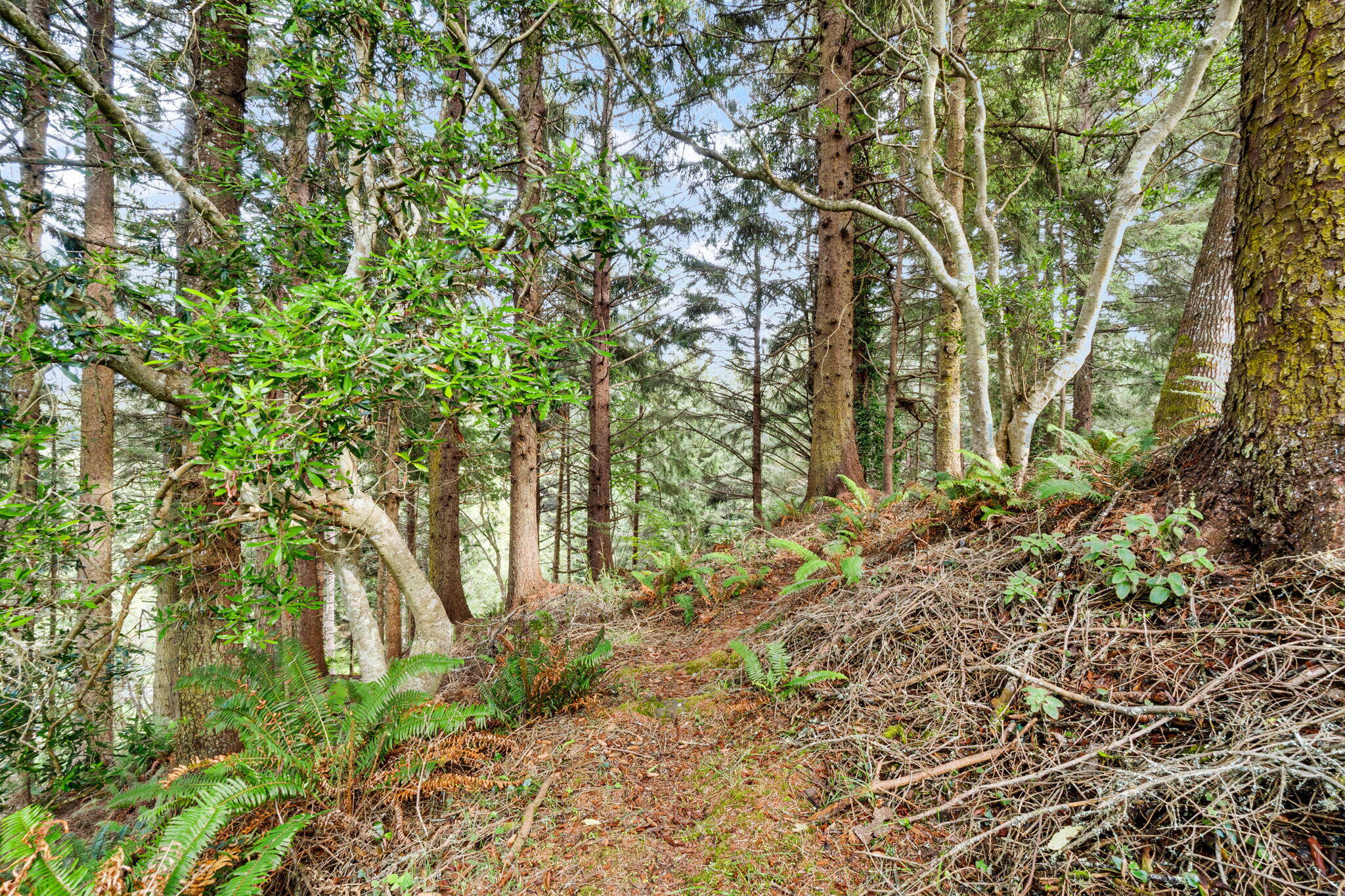 2557 Skyline Drive