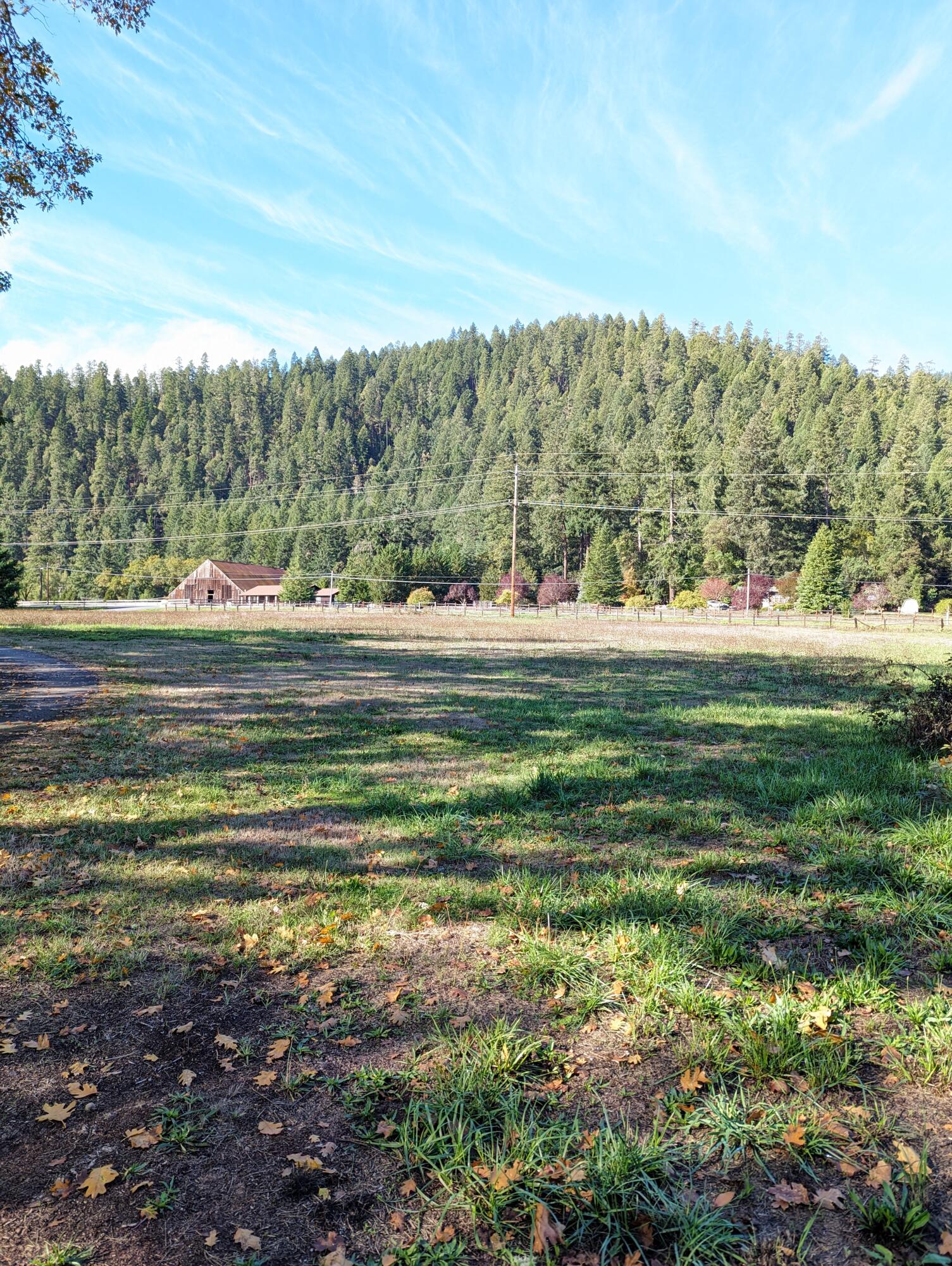 1601 Hwy 96 96