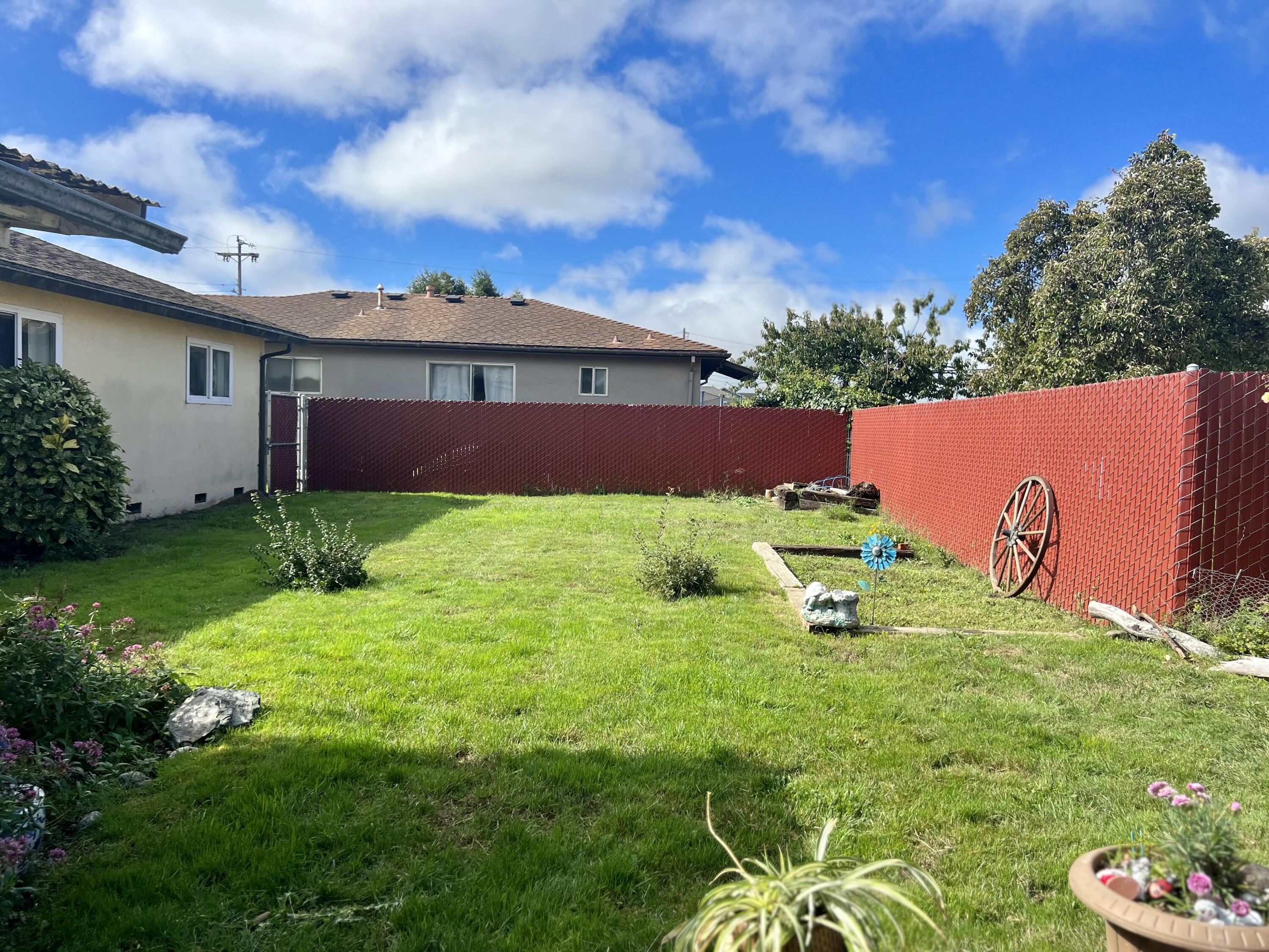 1003 Shamrock Drive