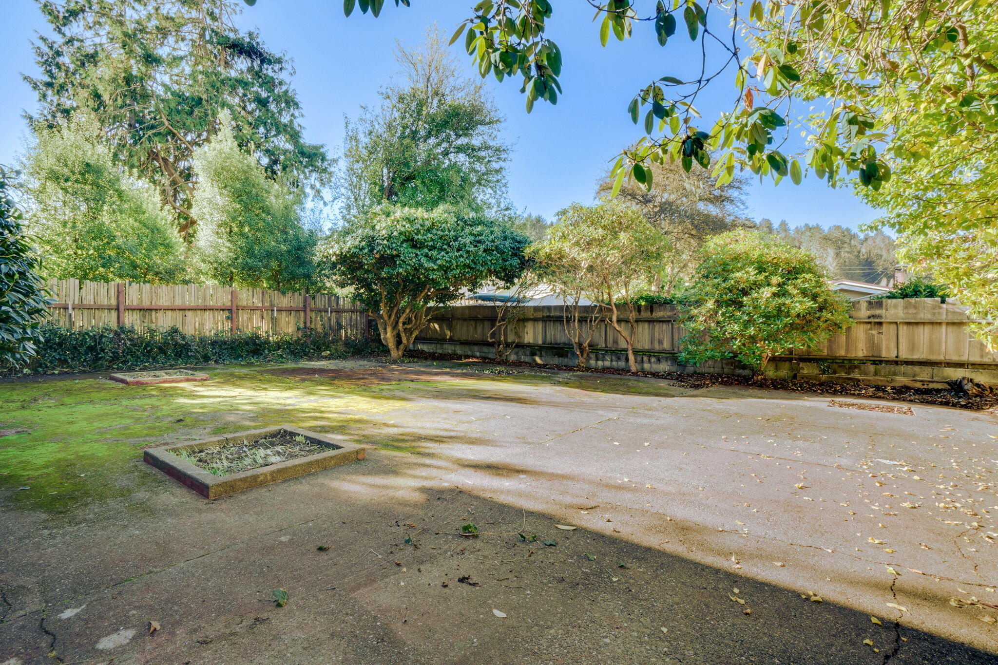 485 Pixley Street