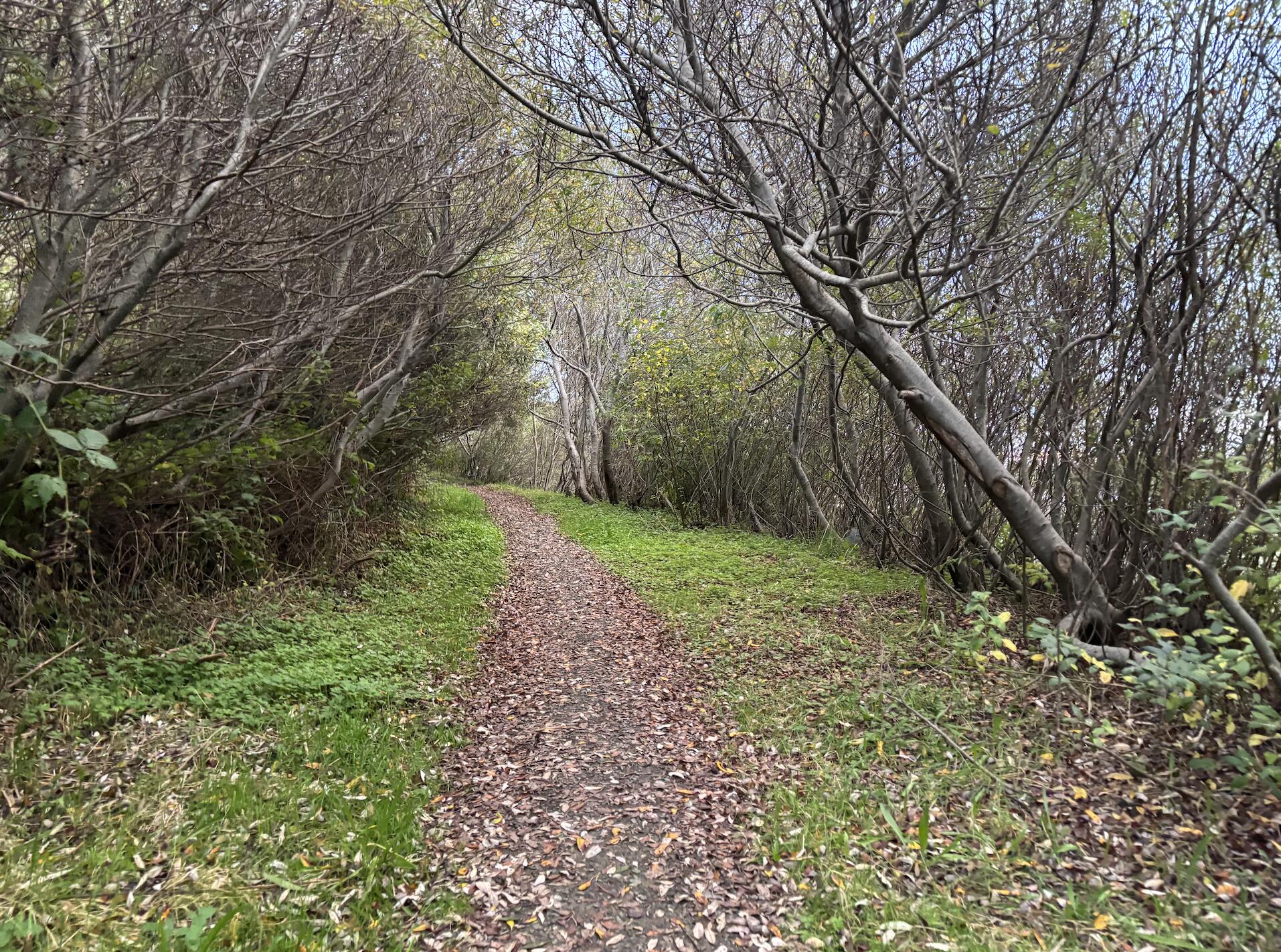 1700 Bird Avenue, McKinleyville