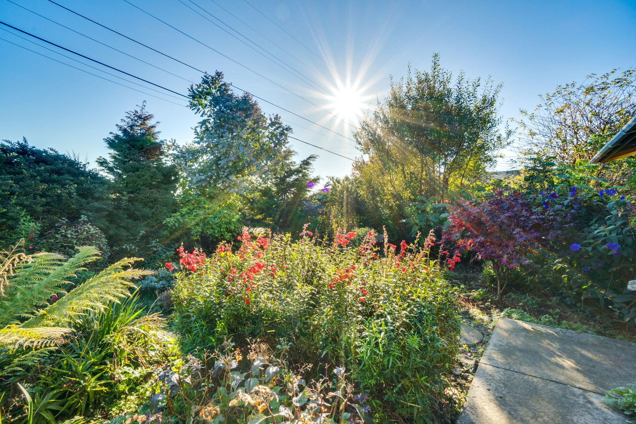 1700 Bird Avenue, McKinleyville