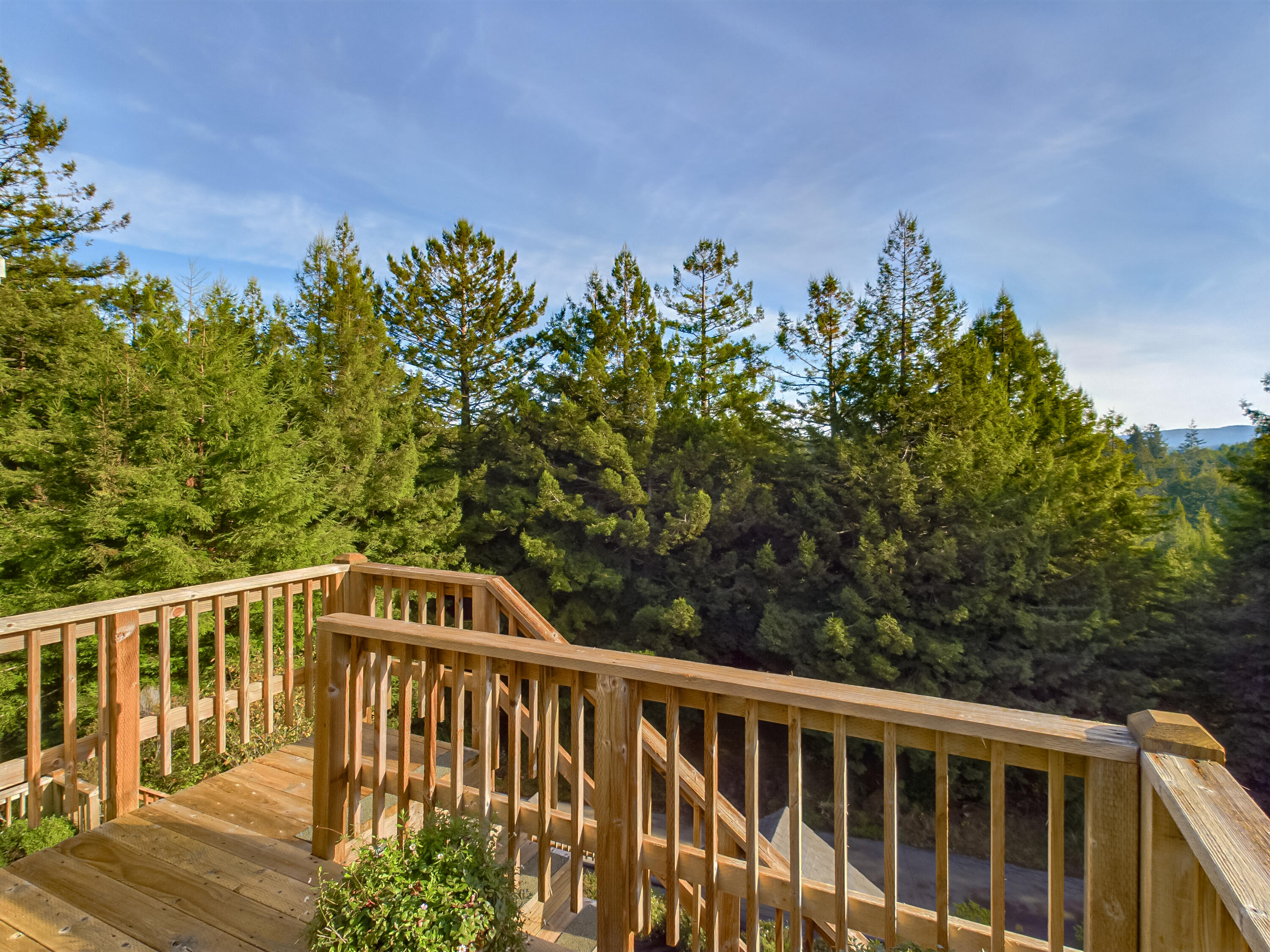 2221 Briarwood Circle