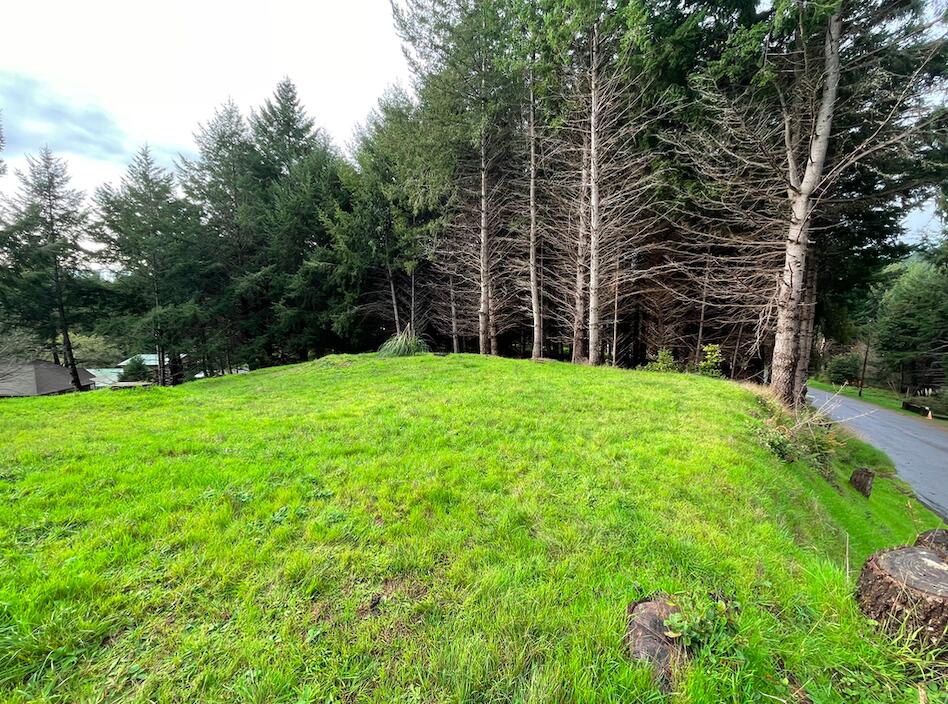 362 Ridge Road