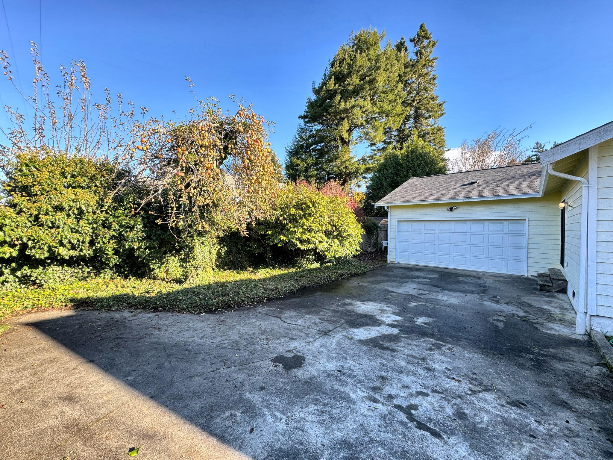 2105 Meadowood Lane