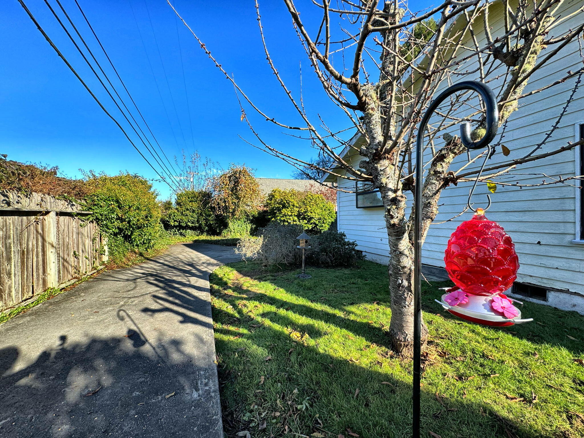 2105 Meadowood Lane