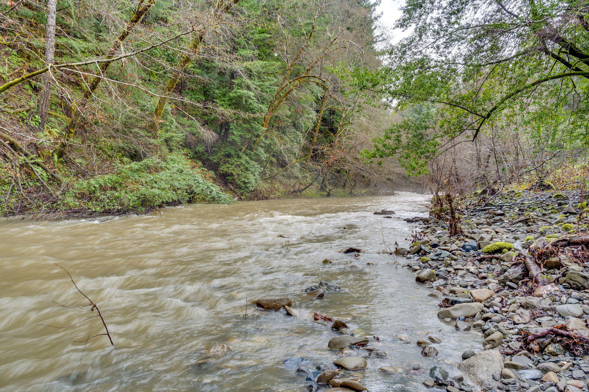 4552 Salmon Creek Road