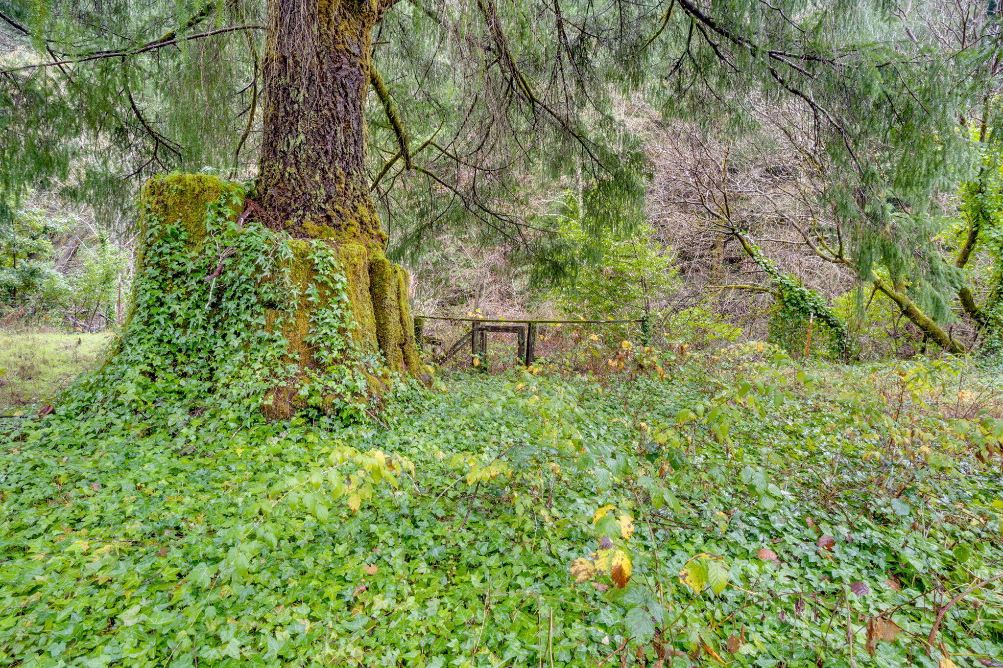 4552 Salmon Creek Road