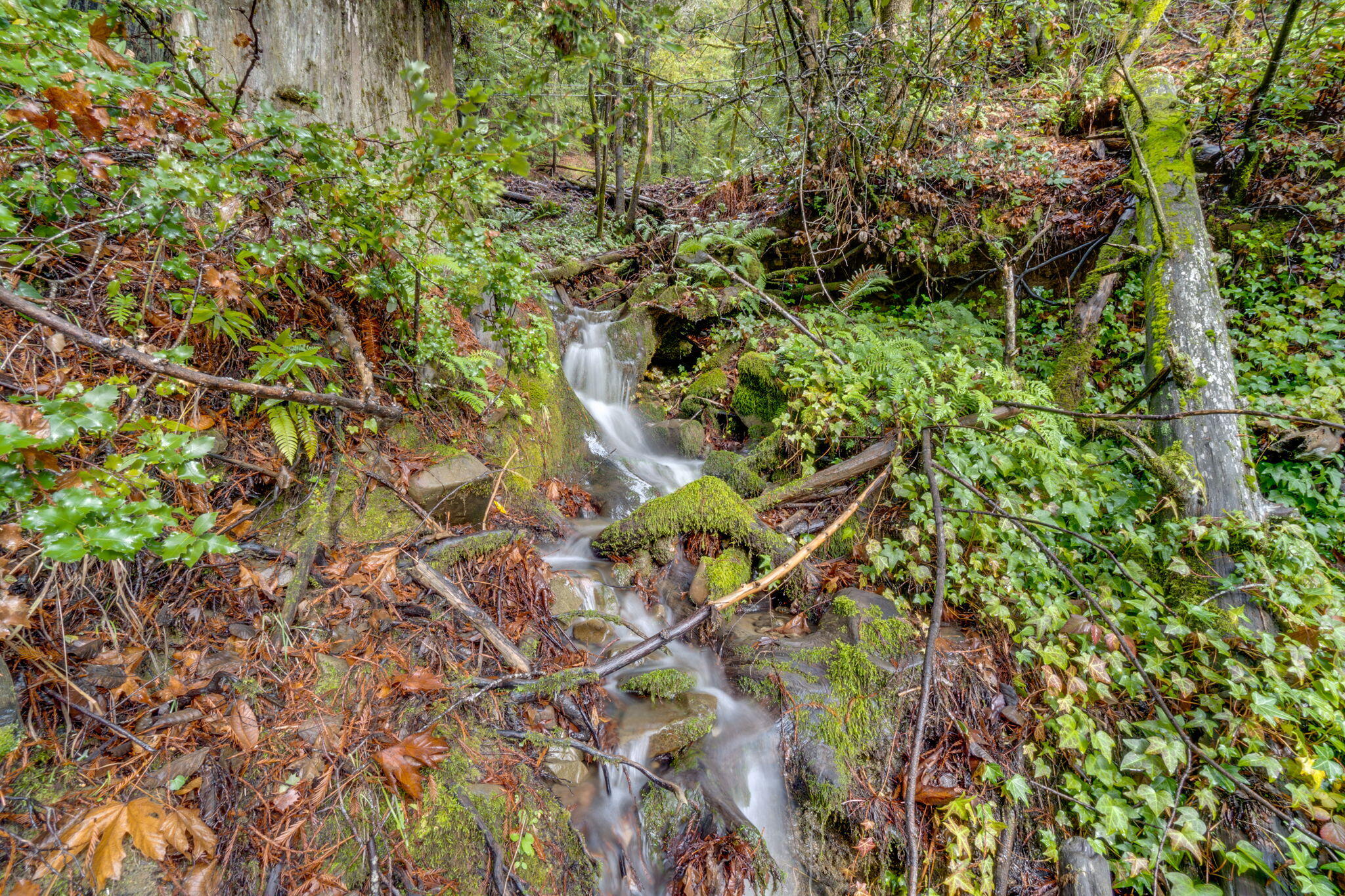 4552 Salmon Creek Road