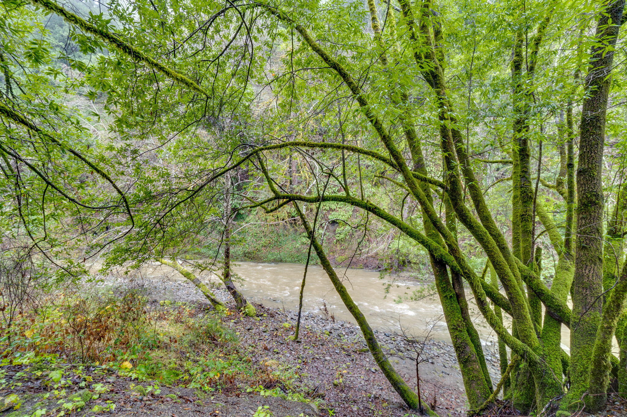 4552 Salmon Creek Road